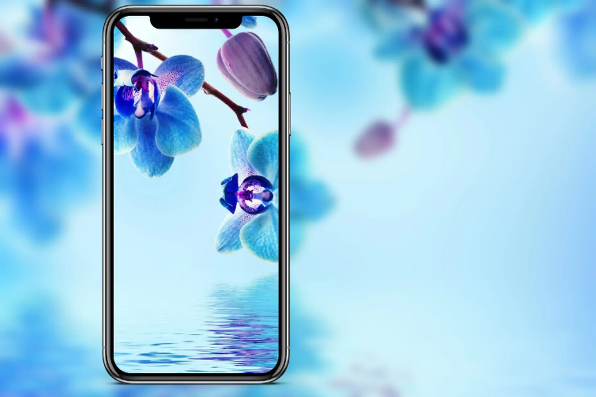 Hình nền hoa 3D đẹp cho điện thoại: Điểm thêm sắc màu huyền ảo cho màn hình của bạn