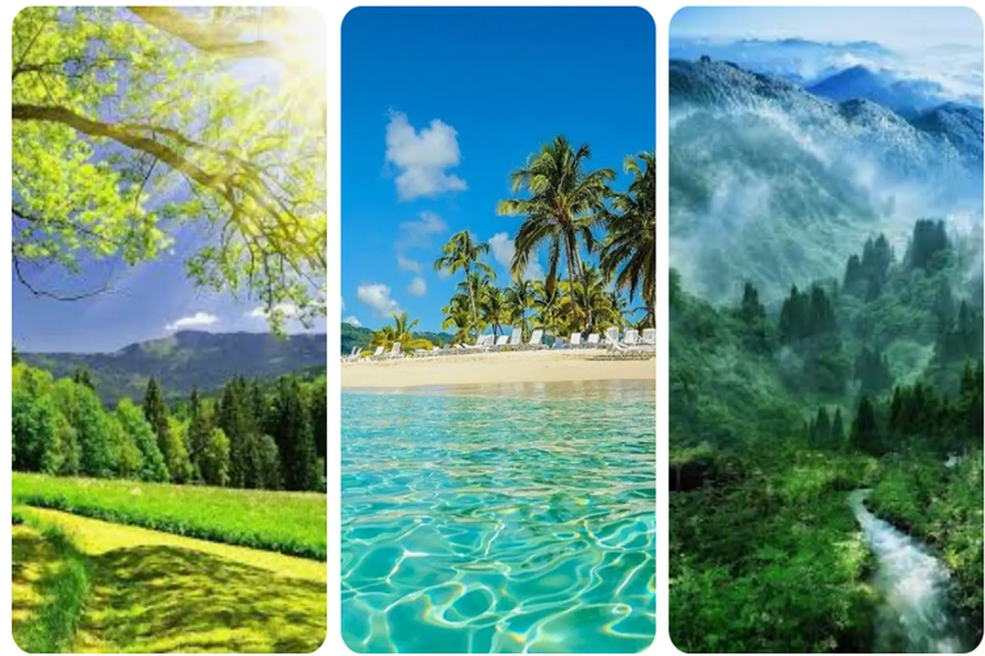 Tổng hợp những hình nền thiên nhiên cho điện thoại nhiều chủ đề, đẹp nhất, phong cách nhất