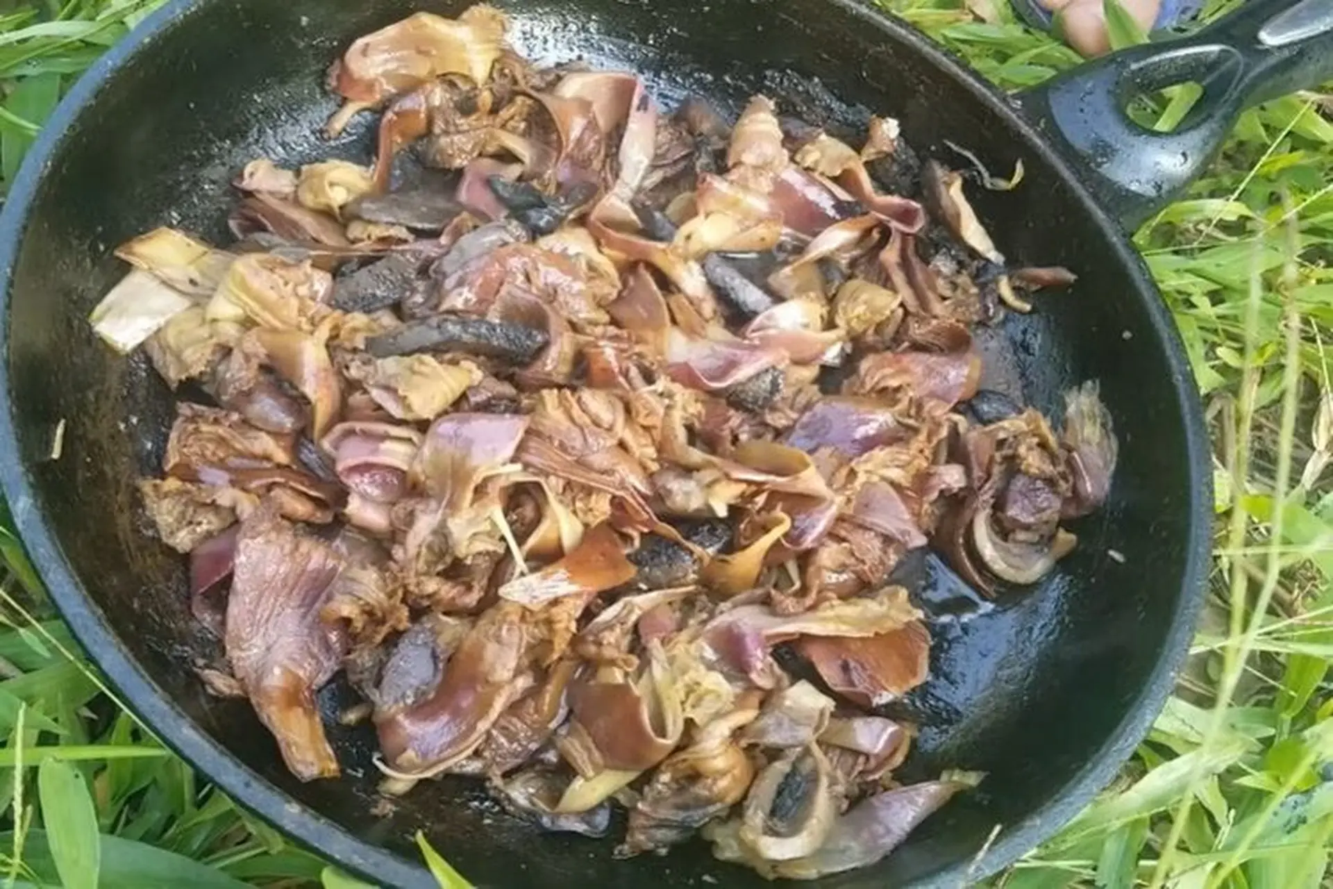 Hoa núc nác xào thịt, món ăn lạ miệng ăn một lần là nghiền, vừa thơm ngon vừa tốt cho sức khỏe