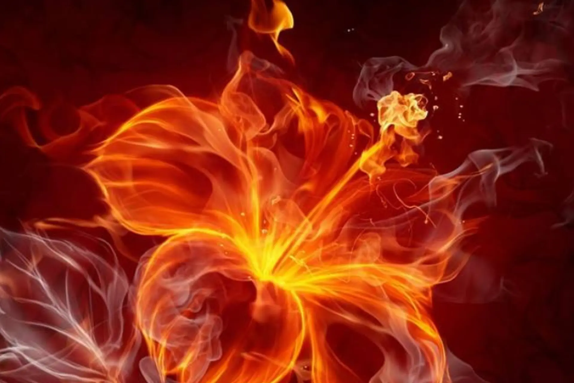 Hỏa sinh gì trong ngũ hành tương sinh? Nam, nữ mệnh Hỏa hợp mệnh nào? Giải đáp chi tiết nhất