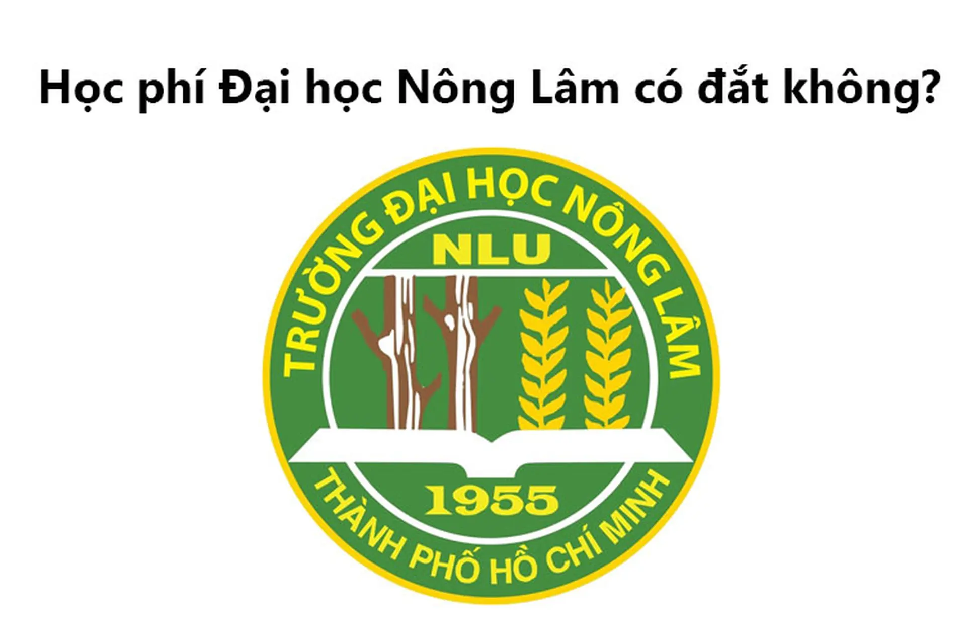 Học phí Đại học Nông Lâm (NLU) có đắt không? Cập nhật mức tiền học mới nhất hiện tại
