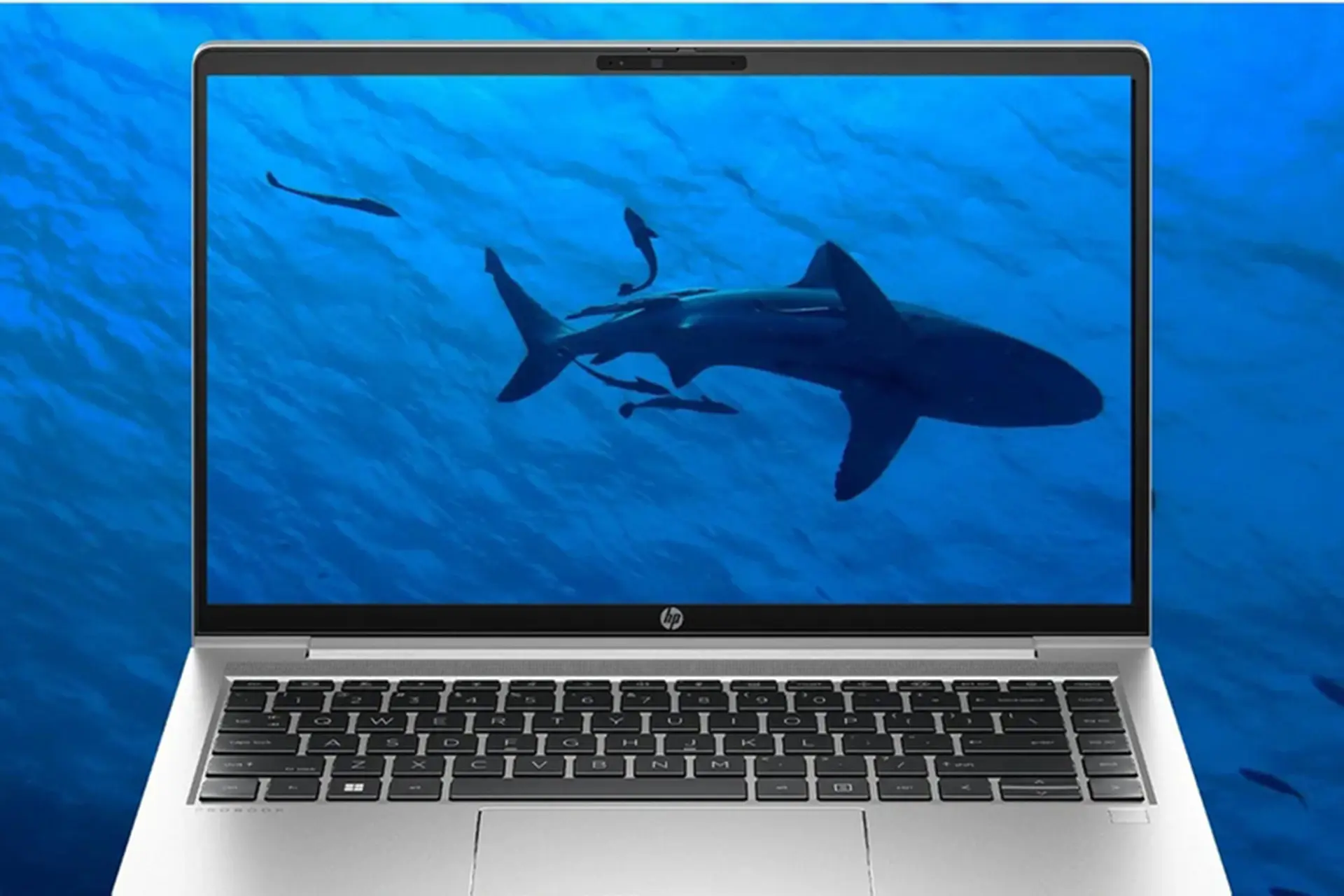 Laptop HP ProBook dưới 15 triệu có không? Giải đáp chi tiết và gợi ý sản phẩm chất lượng