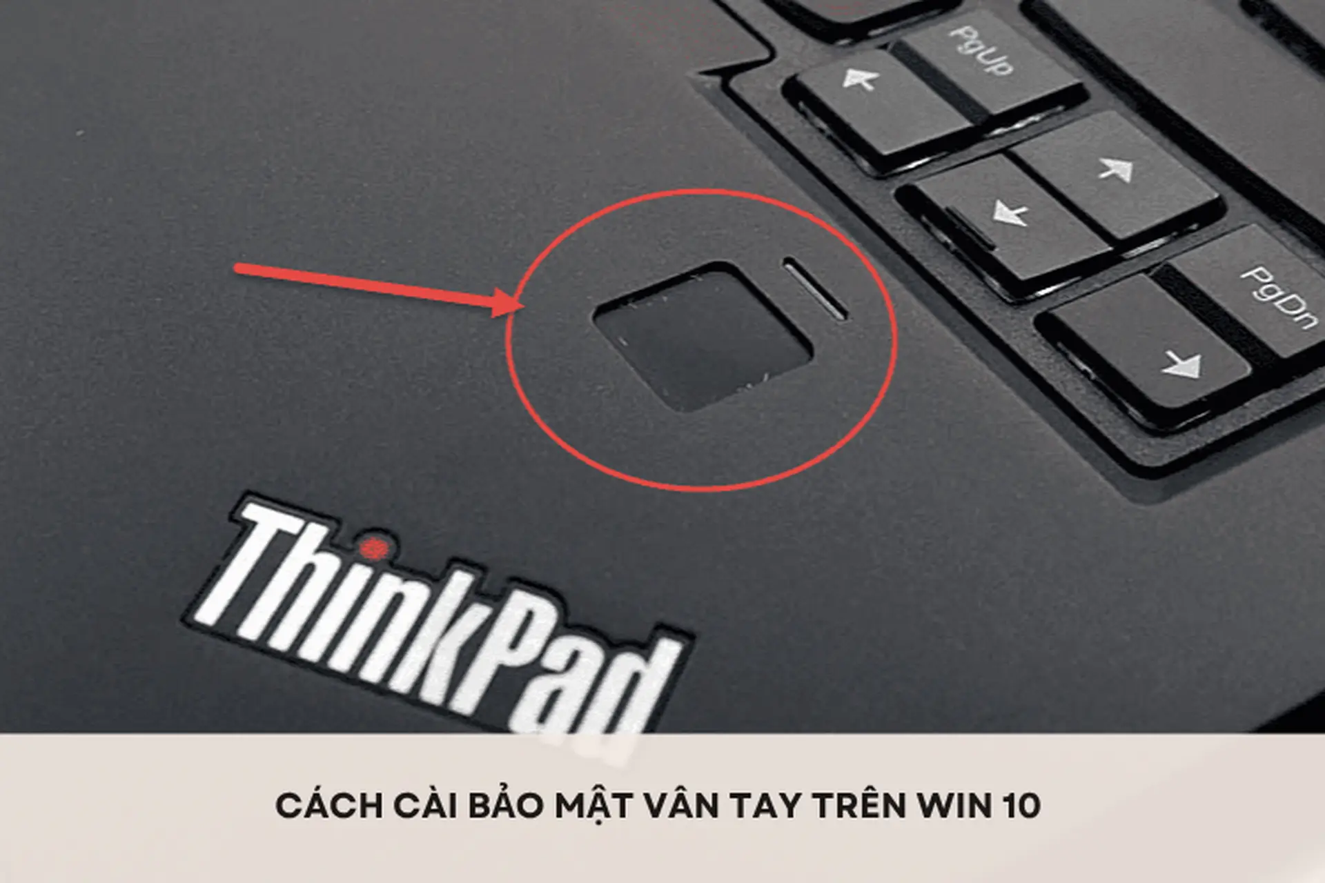 Bỏ túi cách cài bảo mật vân tay trên Win 10 đơn giản để tăng cường bảo mật cho máy tính