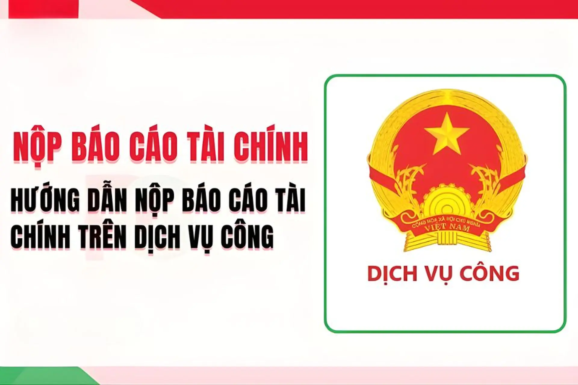 Hướng dẫn nộp báo cáo tài chính trên dịch vụ công chi tiết từ A-Z dễ hiểu nhất