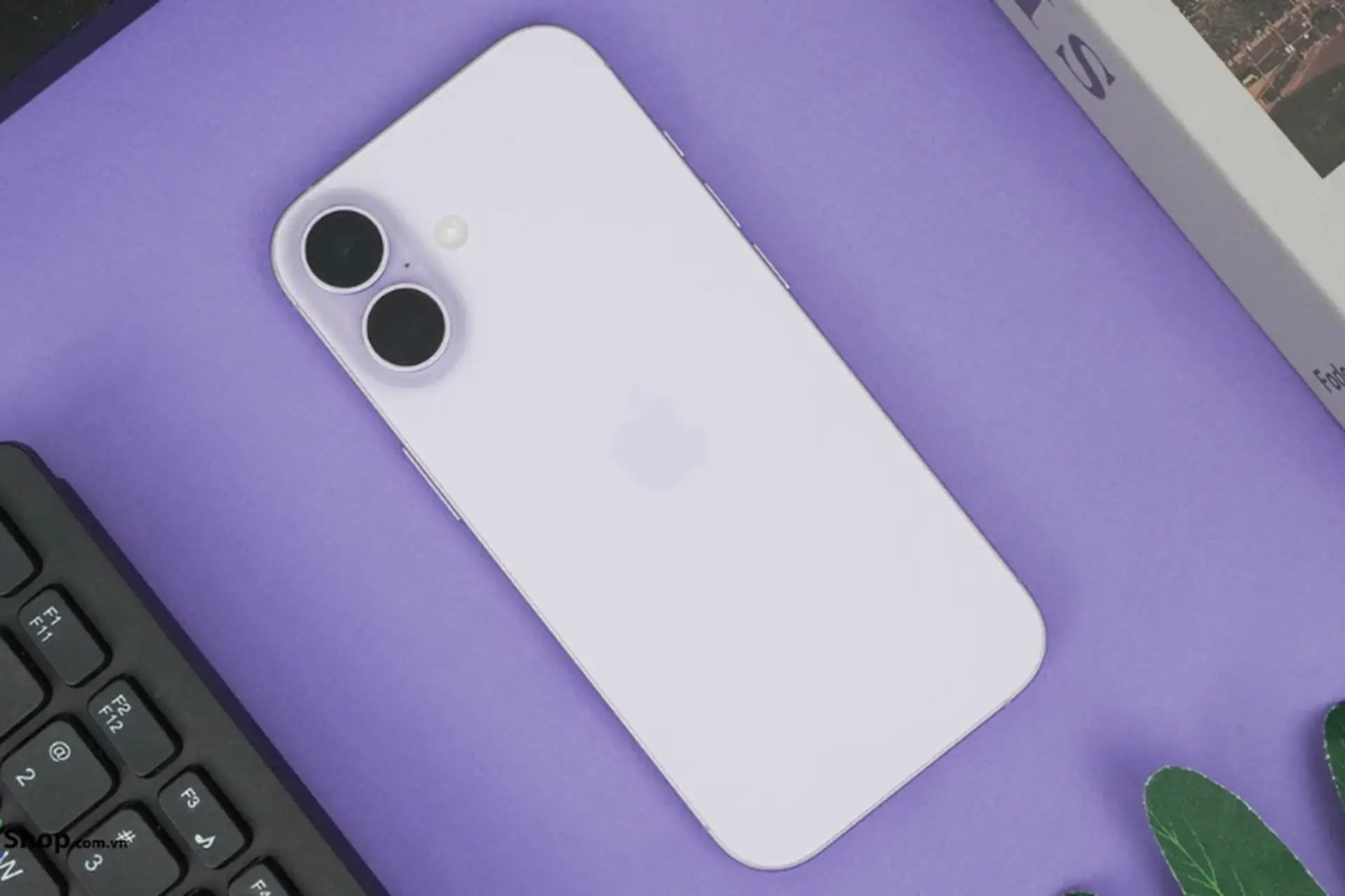 iPhone 17 màu Tím Oải Hương có gì đặc biệt? Hợp mệnh gì và có nên mua không?