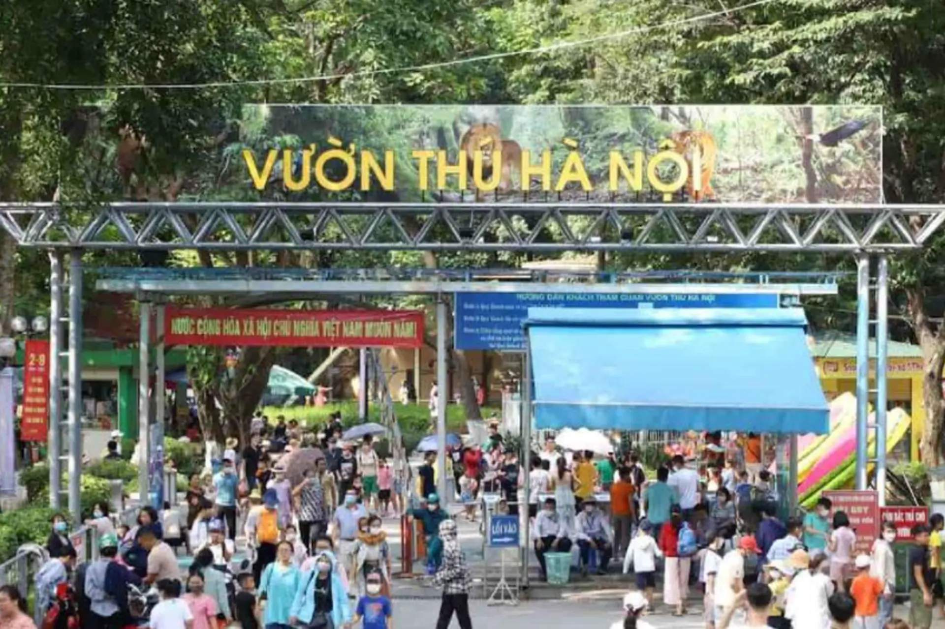 Khám phá vườn thú Hà Nội: Điểm đến xanh mát, gần gũi thiên nhiên, lý tưởng cho cả gia đình vào dịp cuối tuần