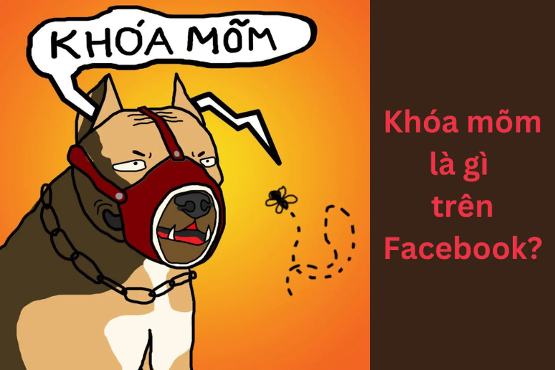 Khóa mõm là gì trên Facebook? Hướng dẫn thủ thuật để “khóa mõm” thành công trên Facebook