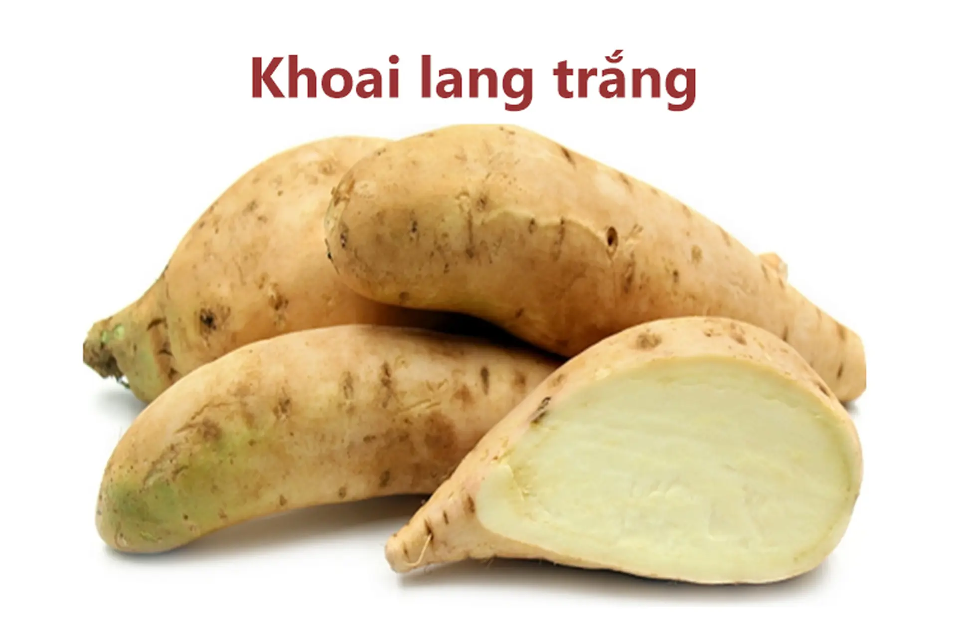 Tìm hiểu về khoai lang trắng - Lợi ích tuyệt vời cho cơ thể và những lưu ý đặc biệt bạn nên biết