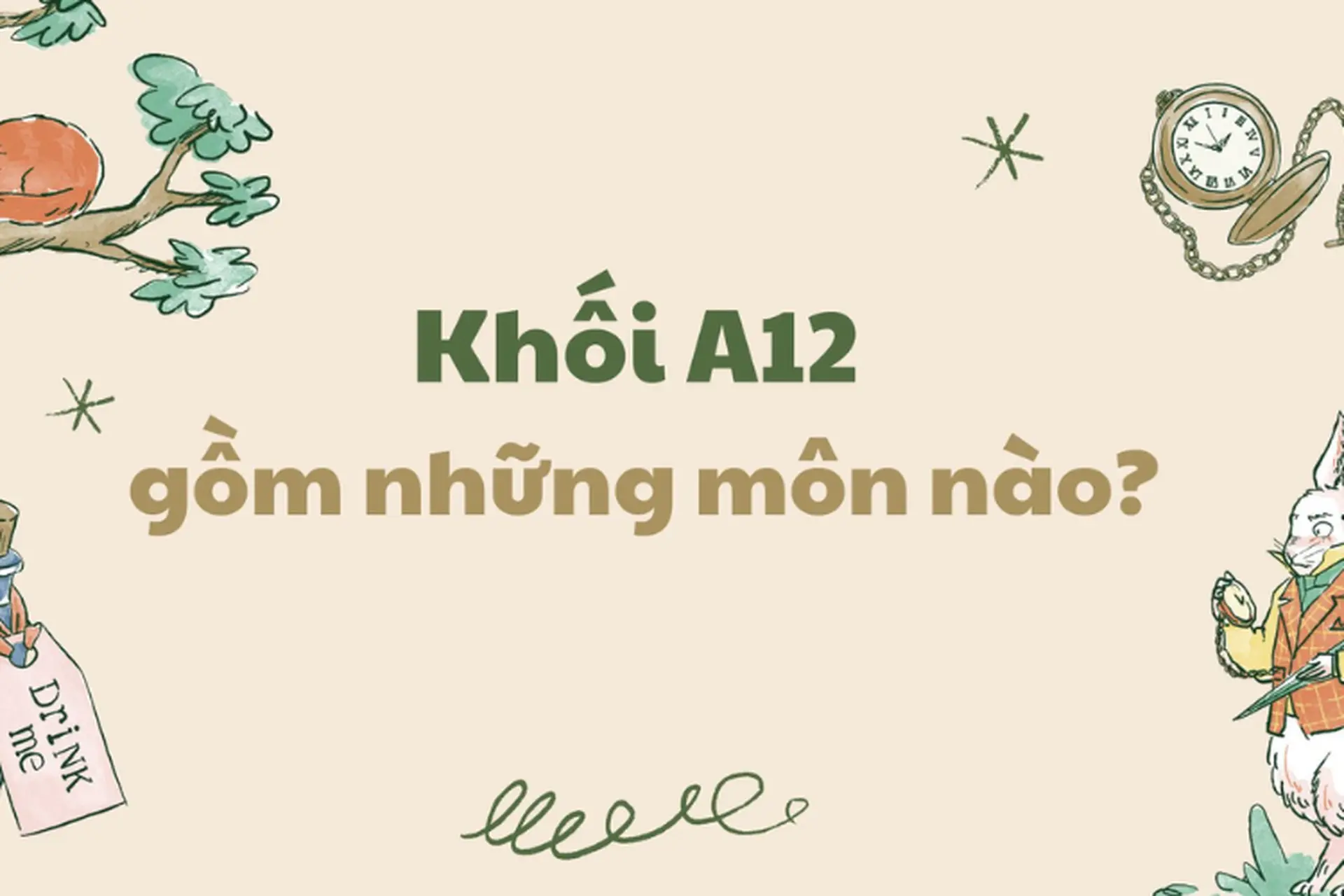 Khối A12 gồm những môn nào? Tổng hợp các ngành và trường đại học tuyển sinh khối A12