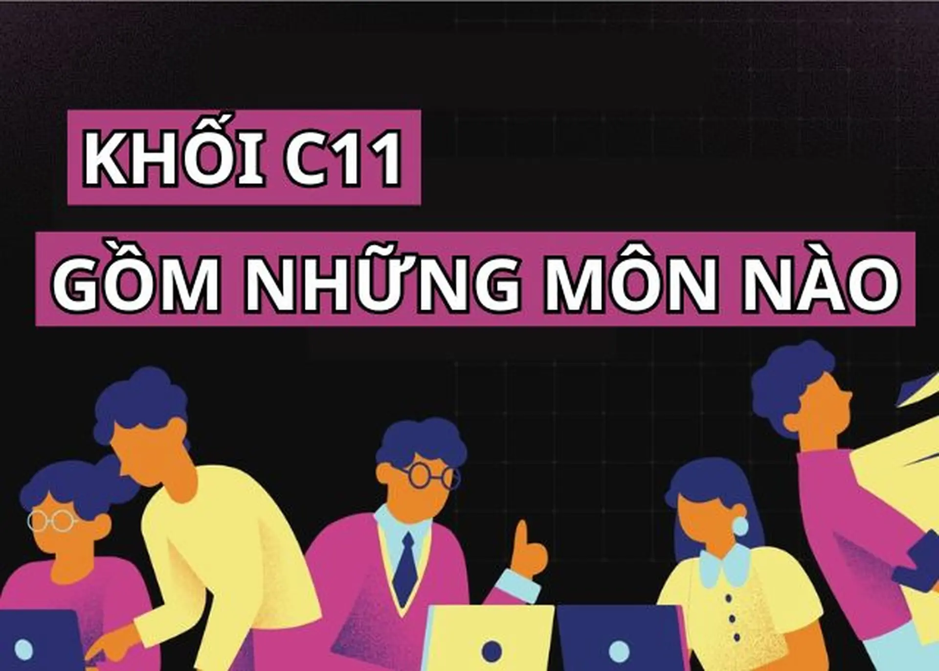 Khối C11 là gì? Gồm những môn nào, ngành nào, học trường nào? Ra trường làm nghề gì?