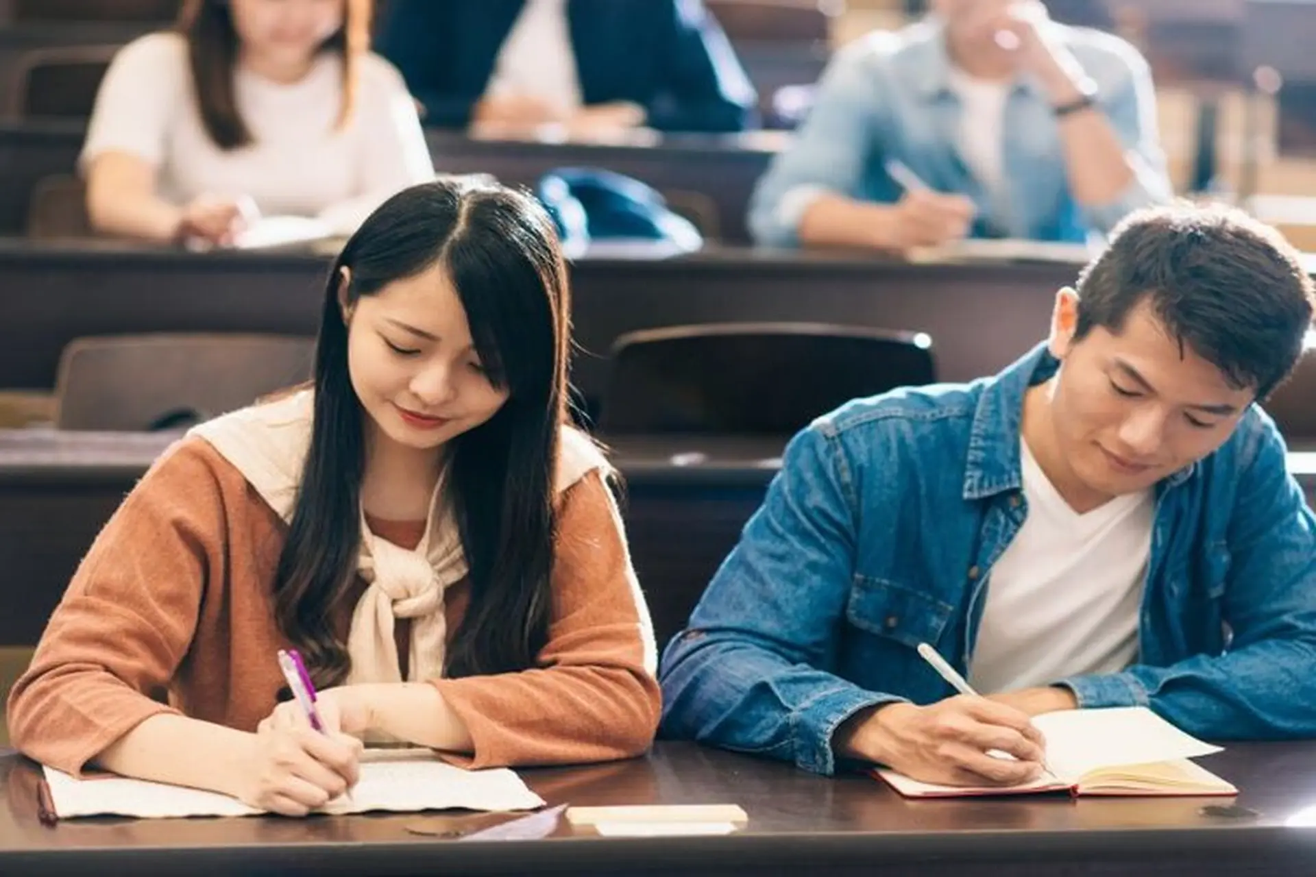 Giải đáp "Khối D04 gồm những ngành nào? Trường nào đào tạo?" giúp định hướng ngành học và nghề nghiệp tương lai