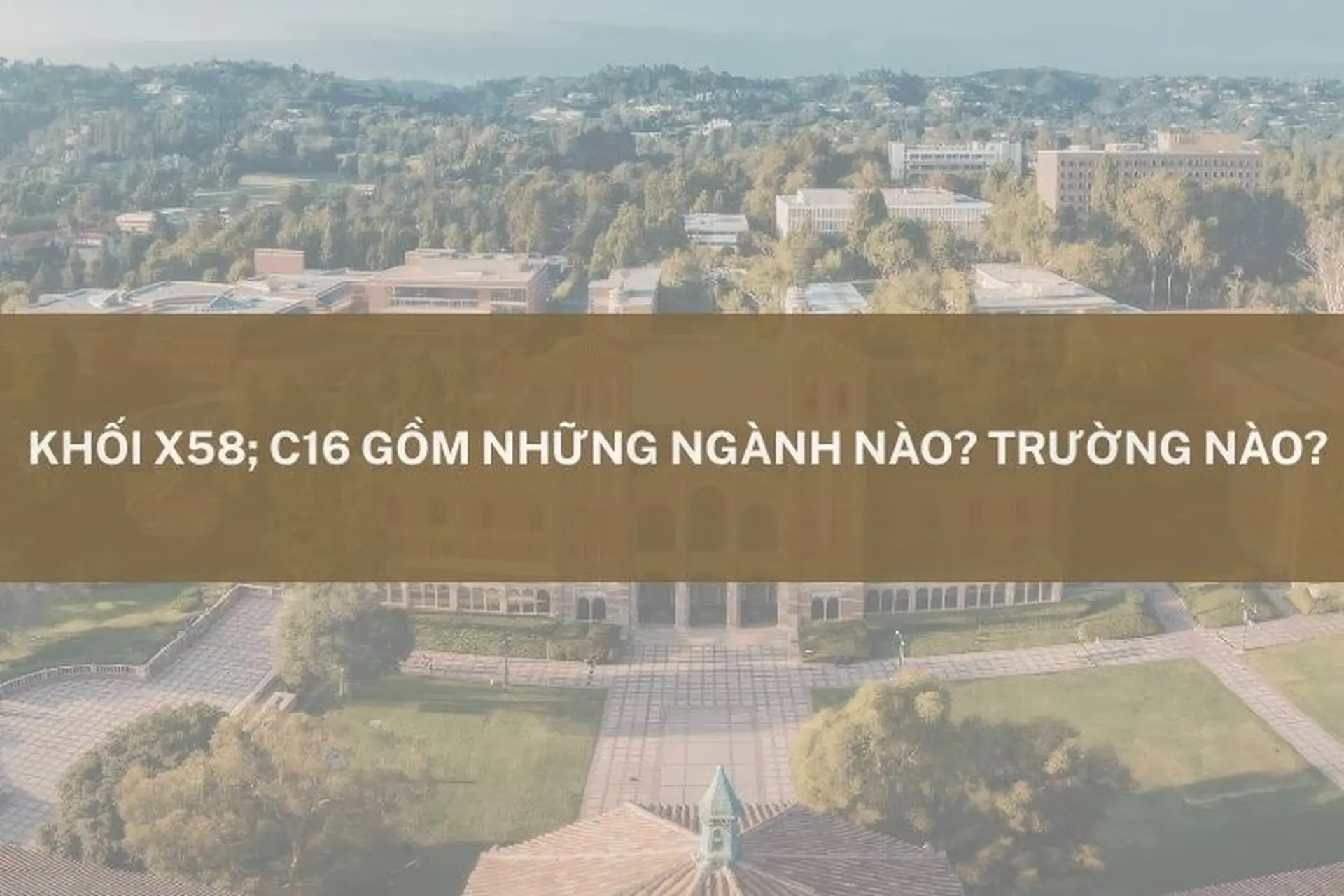 Khối X58, C16 gồm những ngành nào? Trường nào? Các trường xét tuyển mới nhất hiện nay
