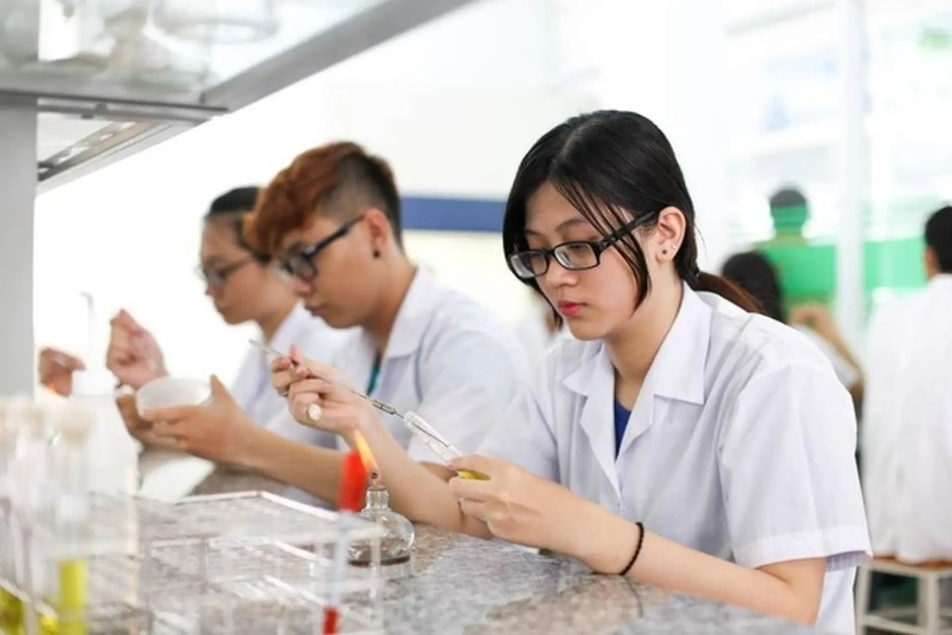 Khối Y07 gồm những ngành nào? Trường nào: Hướng dẫn chi tiết cho thí sinh