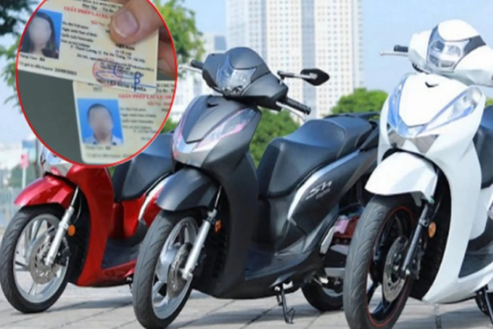 Không có bằng lái có được đứng tên xe máy hay không? Hãy cùng tìm hiểu chi tiết quy định của pháp luật hiện hành