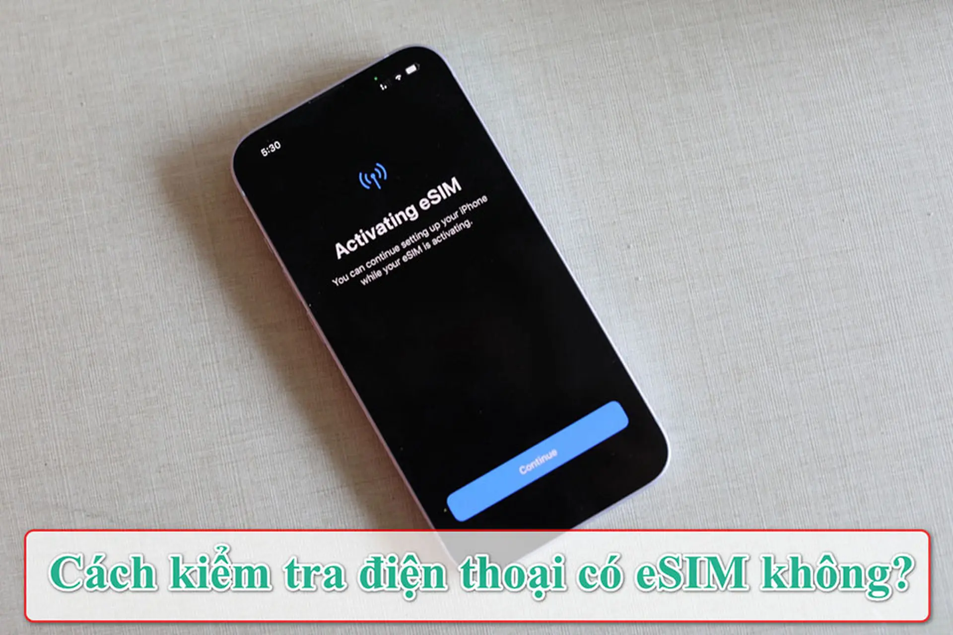 Làm sao để kiểm tra điện thoại có eSIM hay không? Bí quyết đơn giản bạn không nên bỏ qua