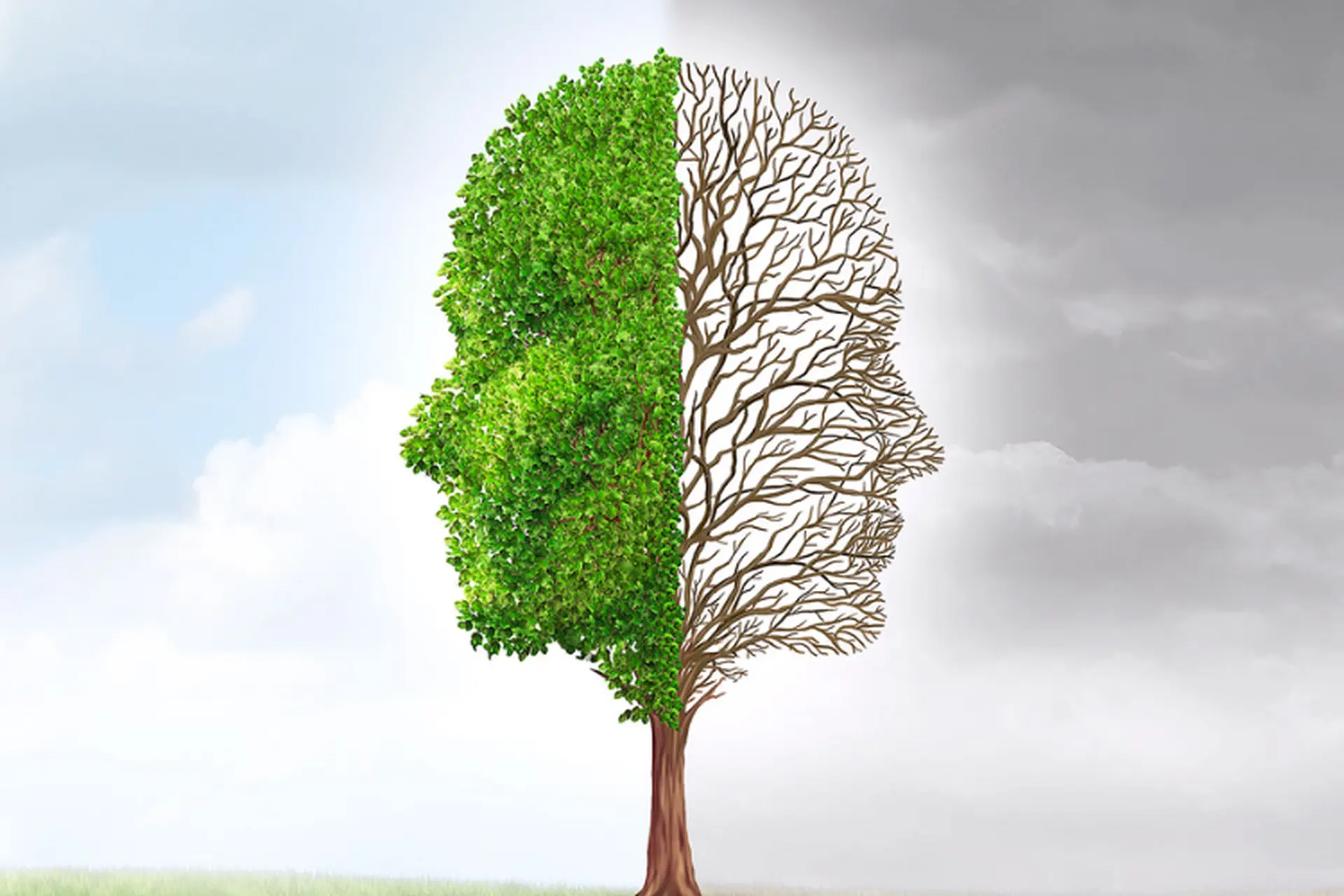 Kiên nhẫn là gì? Vì sao người thành công cần rèn luyện tính kiên nhẫn trong cuộc sống?