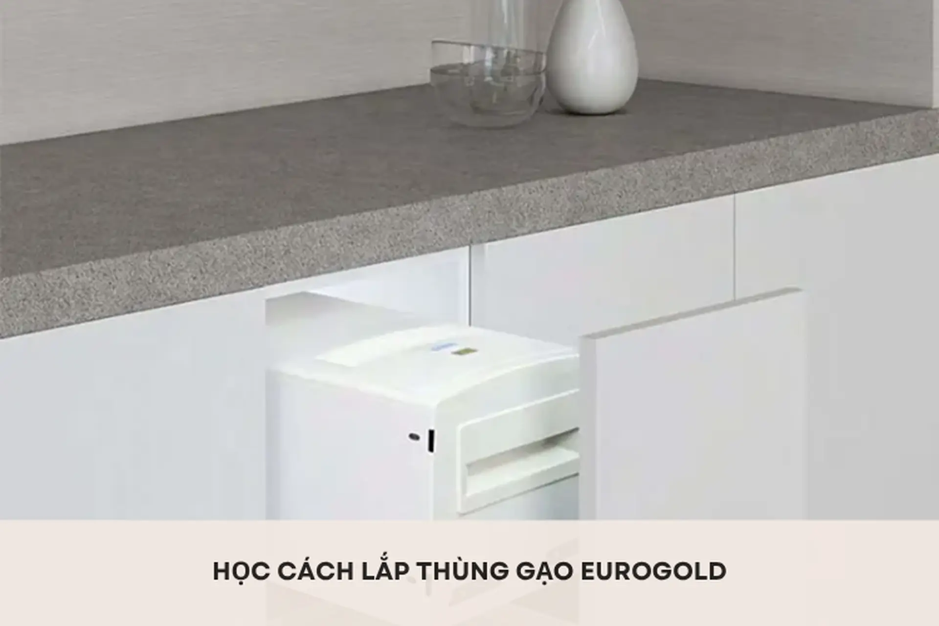 Học cách lắp thùng gạo Eurogold hiệu quả, nhanh chóng để tăng khả năng bảo quản gạo