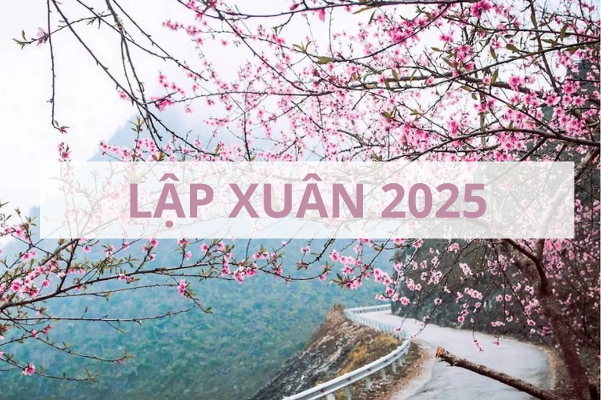 Lập xuân 2025 vào ngày nào? Những thông tin chi tiết về tiết lập xuân bạn nên biết