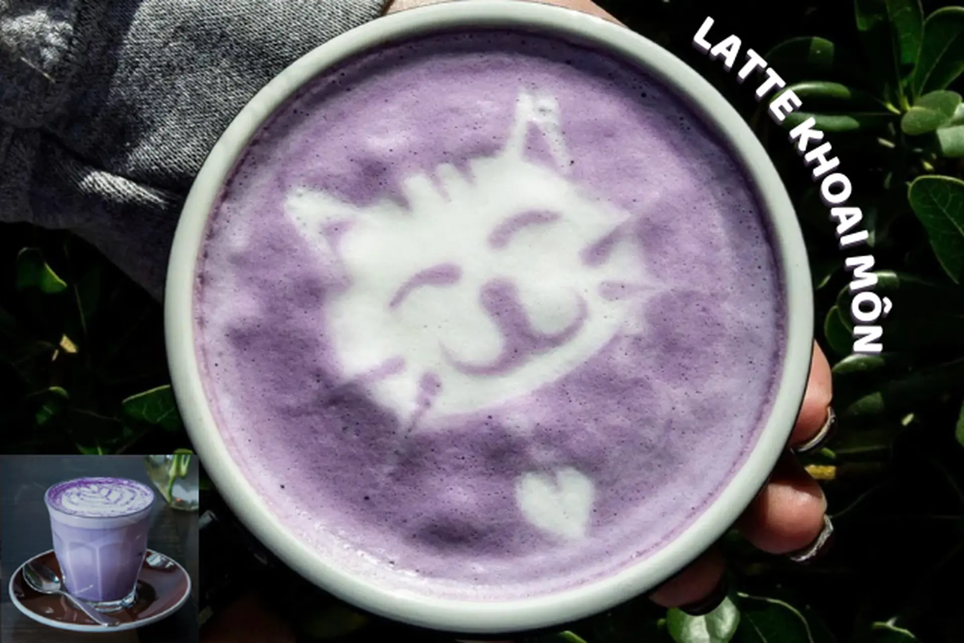 Latte khoai môn có gì mà giới trẻ săn đón không ngừng? Ai thử cũng mê từ ngụm đầu tiên