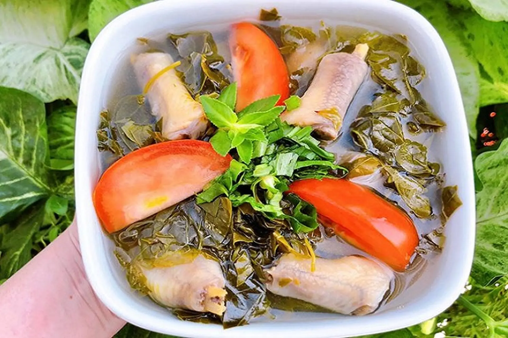 Cách chế biến lẩu chân gà lá giang thơm ngon, nước dùng chua thanh, đổi vị bữa cơm gia đình