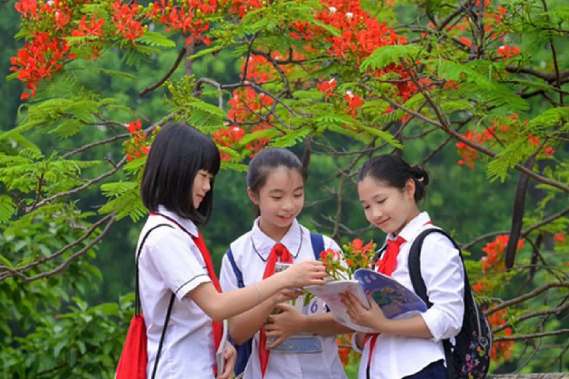 Lịch nghỉ hè 2026: Thời gian kết thúc năm học và kế hoạch nghỉ học toàn quốc