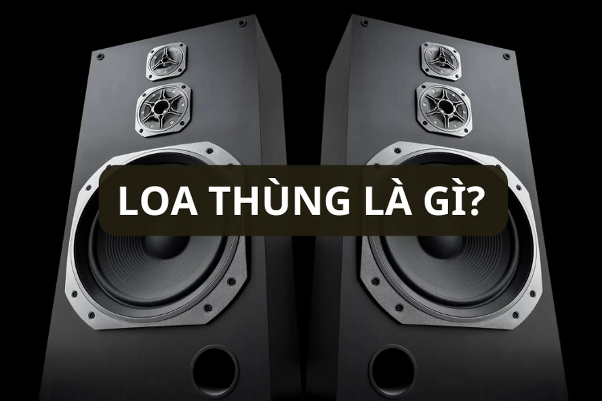Loa thùng là gì? Tìm hiểu đặc điểm, cấu tạo của loa thùng và đối tượng phù hợp nên sử dụng loa thùng