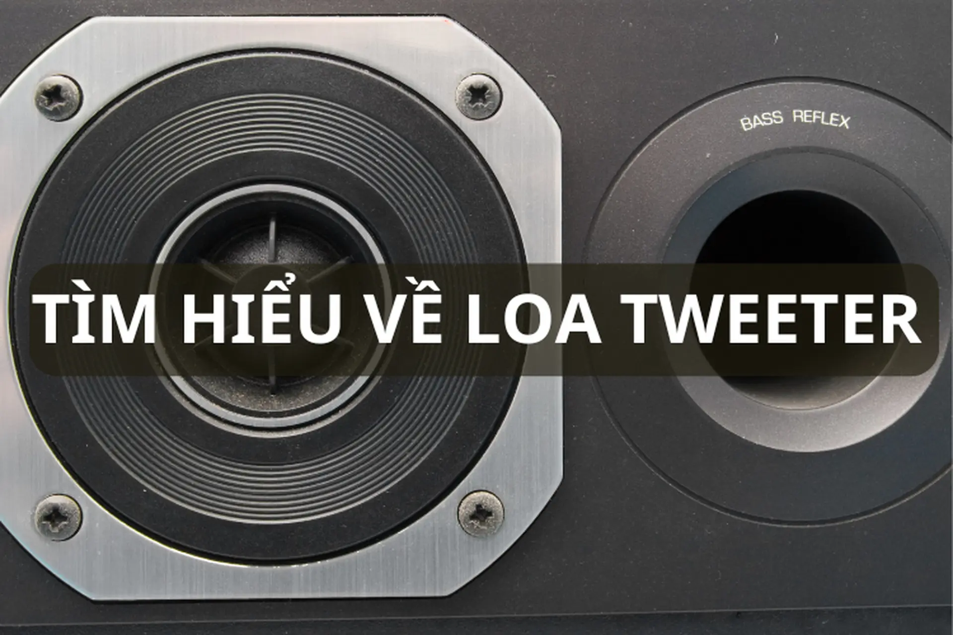 Loa tweeter là gì? Tìm hiểu cấu tạo, vai trò và các loại loa tweeter phổ biến hiện nay