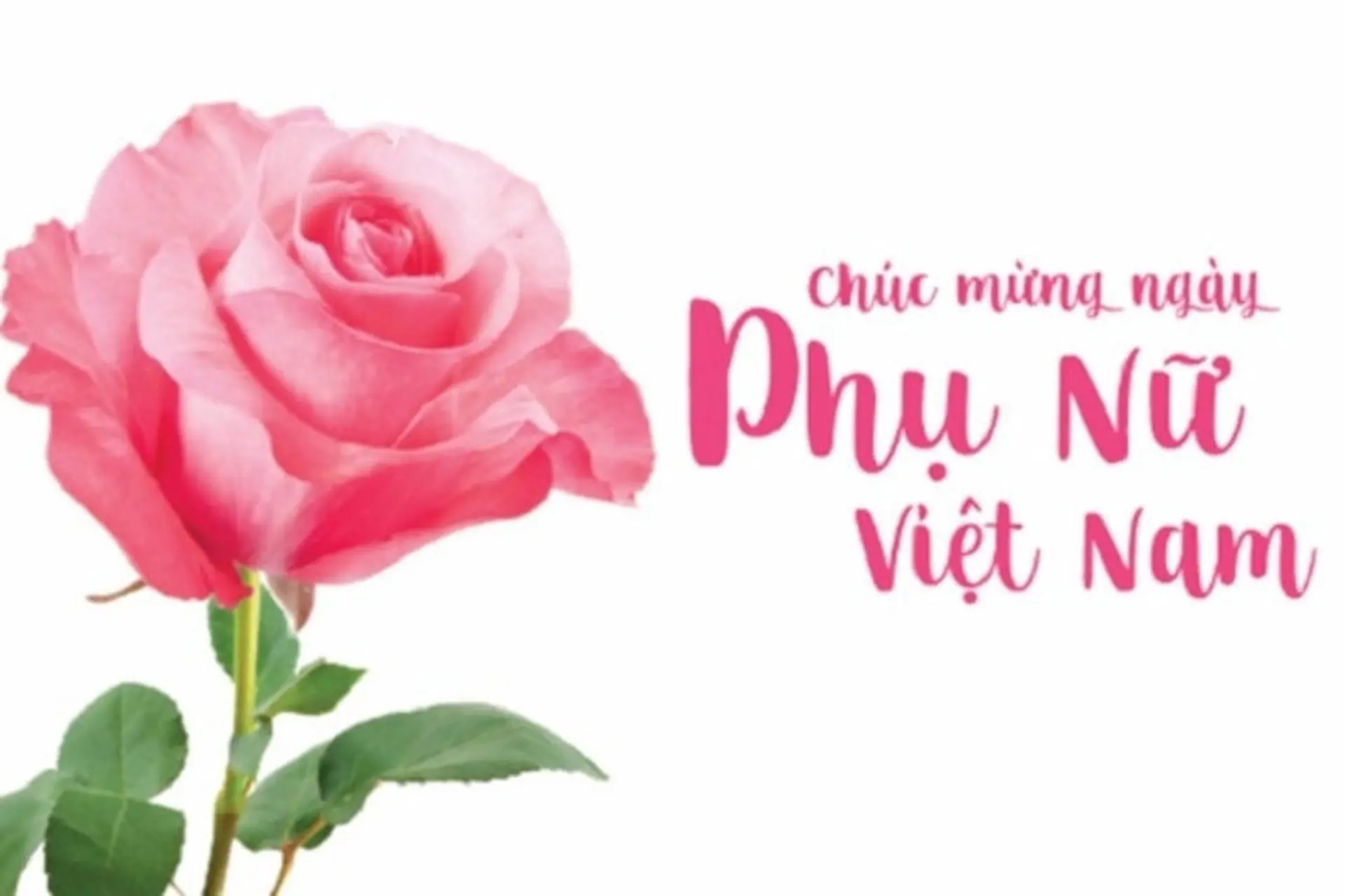 Tuyển tập mẫu lời dẫn chương trình 20/10 hay nhất, ấn tượng nhất 2024 dành cho MC