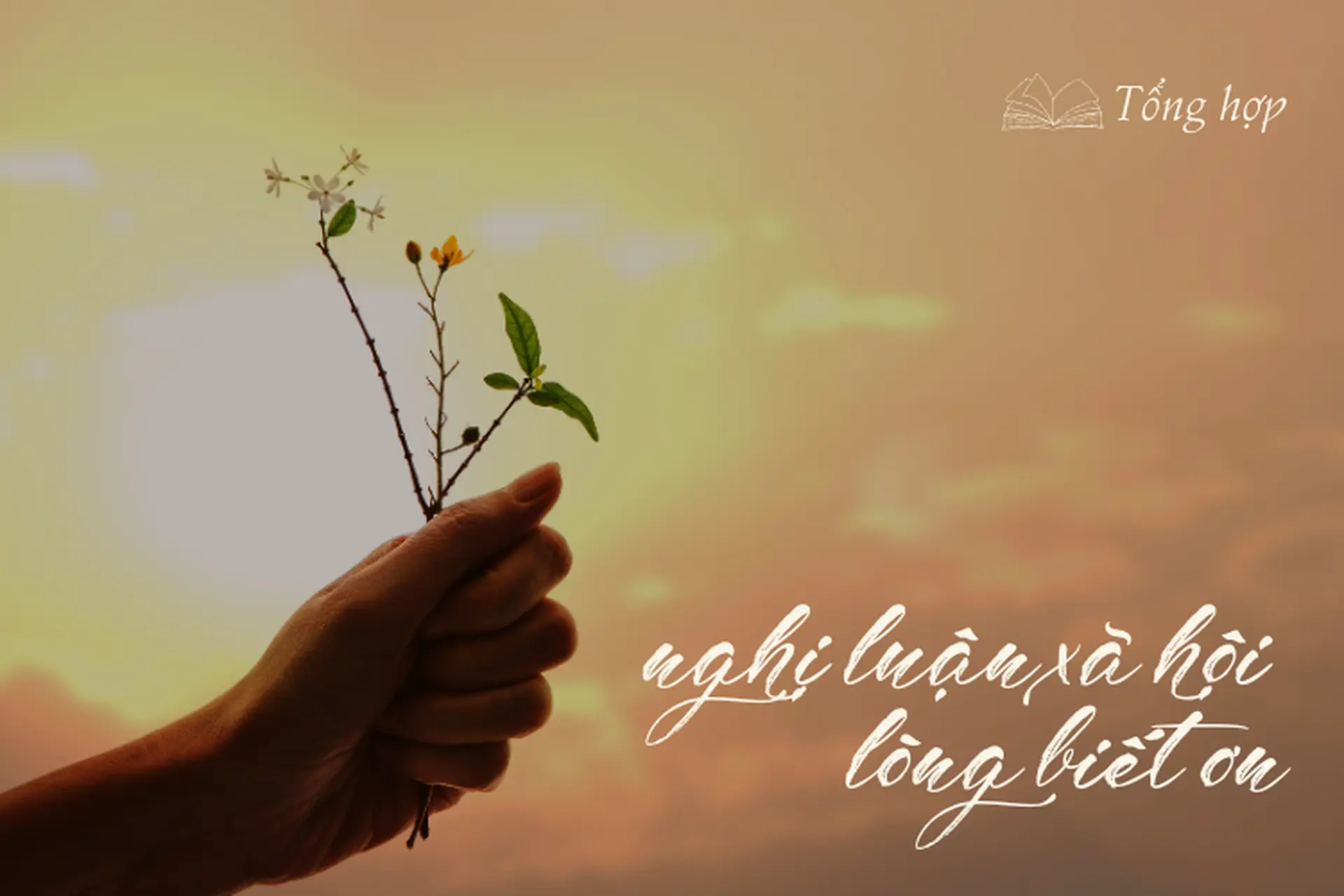 Tổng hợp những bài văn nghị luận xã hội về lòng biết ơn hay và ý nghĩa nhất