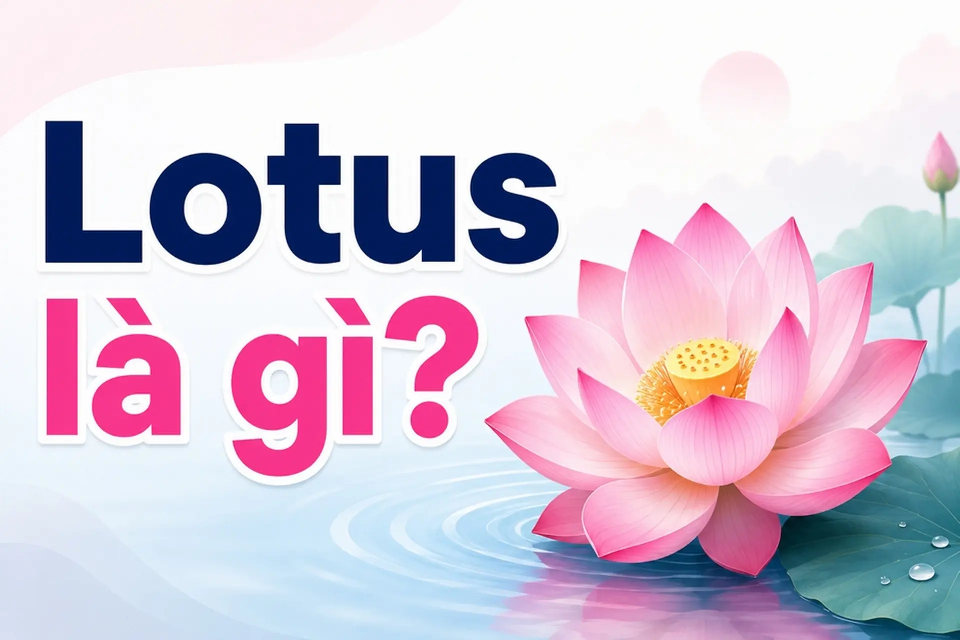 Lotus là gì? Ý nghĩa của Lotus trong đời sống, công nghệ và các nền tảng số hiện nay