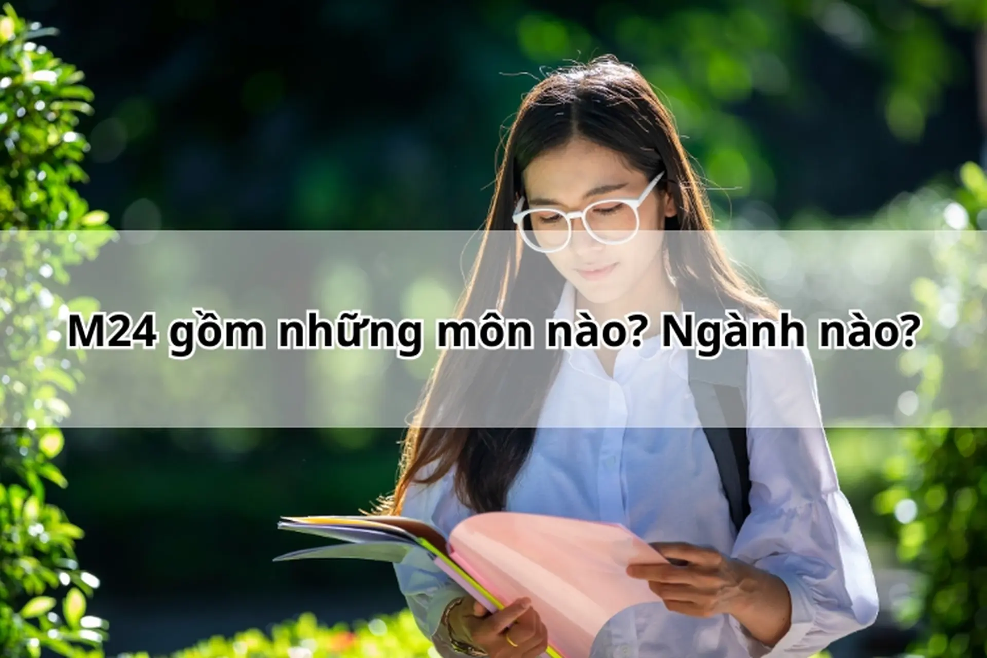 M24 gồm những môn nào? Ngành nào? Giải đáp chi tiết về tổ hợp xét tuyển M24 mới nhất