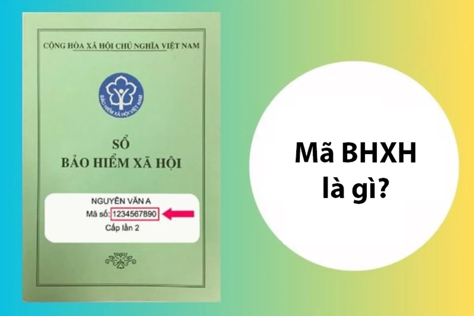 Mã BHXH là gì? Khái niệm, vai trò pháp lý và hướng dẫn cách tra cứu bảo hiểm xã hội