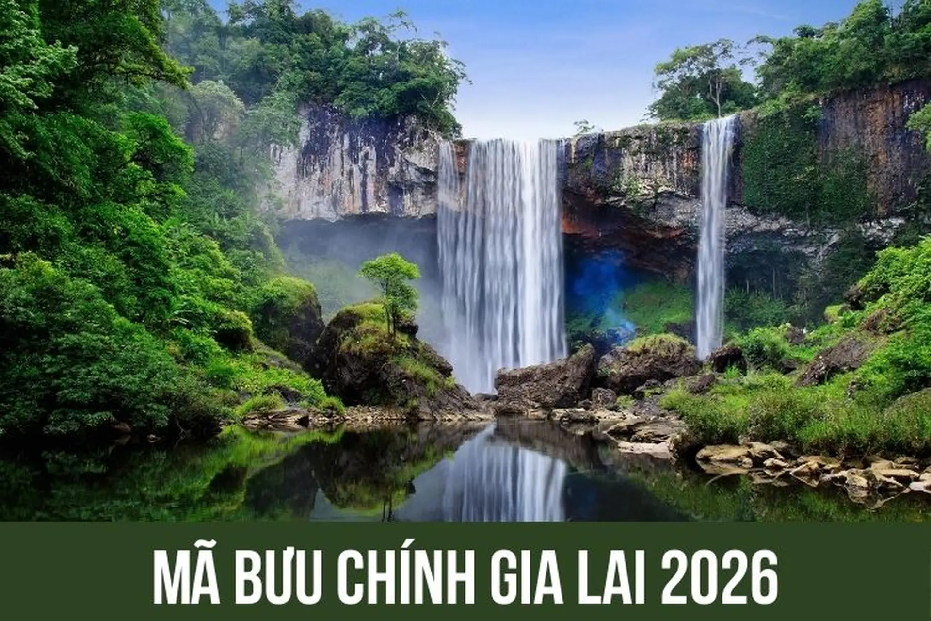 Mã bưu chính Gia Lai 2026 là gì? Cách kiểm tra nhanh chóng, chính xác sau khi sáp nhập tỉnh