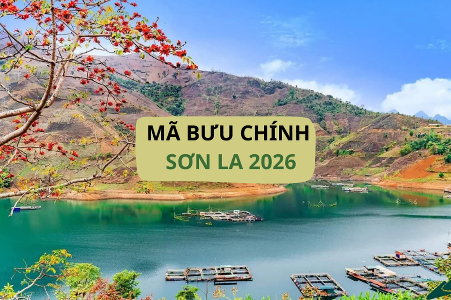 Mã bưu chính Sơn La 2026 là bao nhiêu? Tổng hợp mã bưu điện mới nhất hiện nay