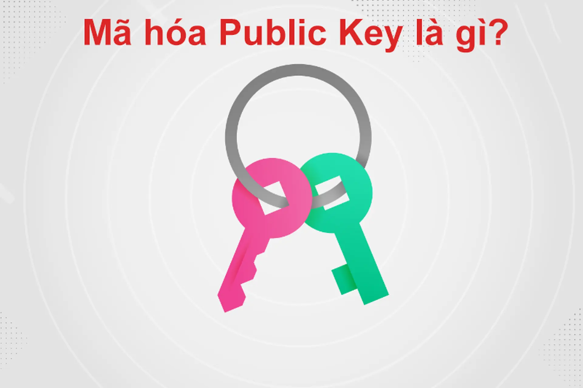 Mã hóa Public Key là gì? Tìm hiểu khái niệm, cơ chế hoạt động và ứng dụng thực tế
