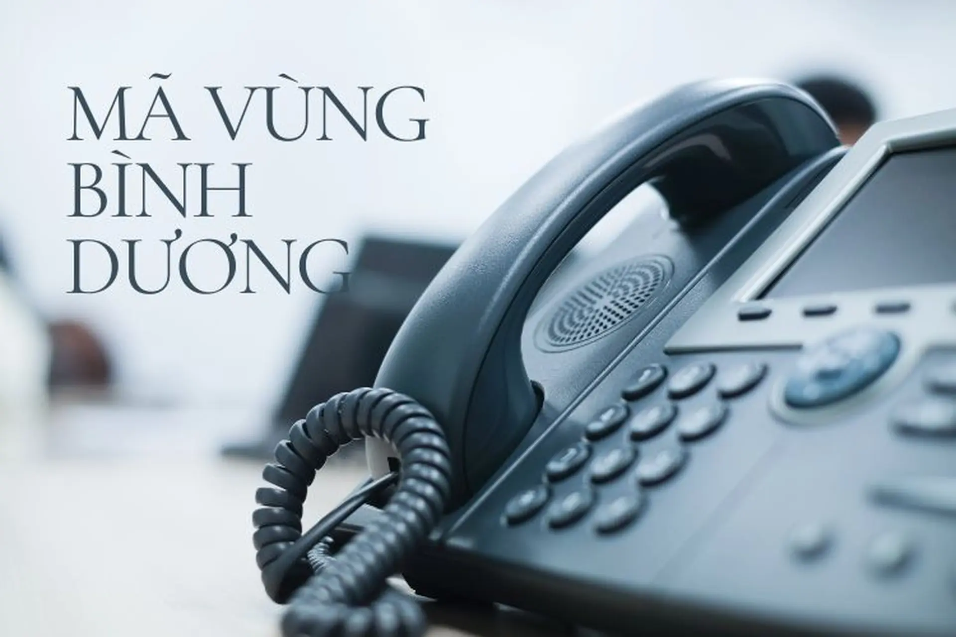 Mã vùng Bình Dương là bao nhiêu? Giải đáp một số thông tin xoay quanh mã vùng này