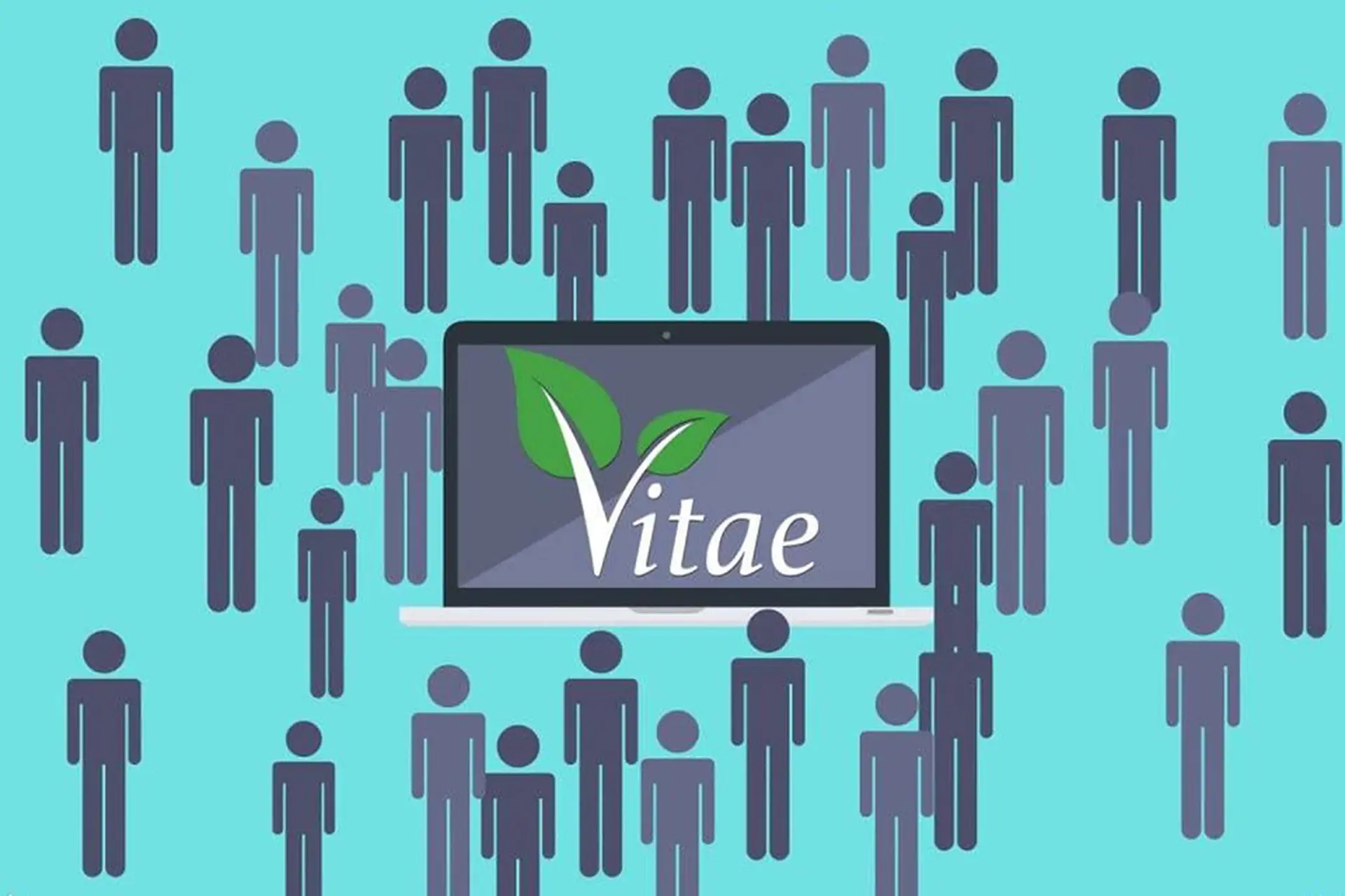 Mạng xã hội Vitae là gì và vì sao mô hình này gây tranh cãi trong cộng đồng người dùng?