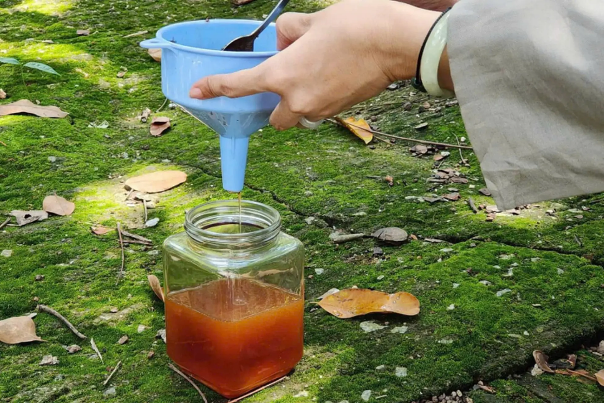 Mật ong dú là gì? Có tác dụng gì cho sức khỏe? Cách sử dụng và bảo quản mật ong dú