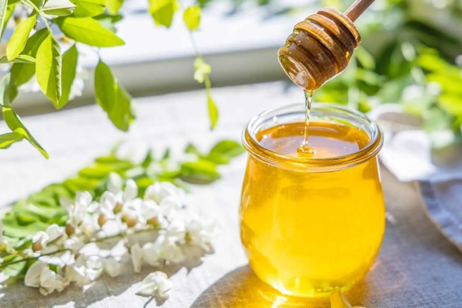 Mật ong ruồi có tác dụng gì? Phù hợp với đối tượng nào? Cách sử dụng và bảo quản mật ong ruồi