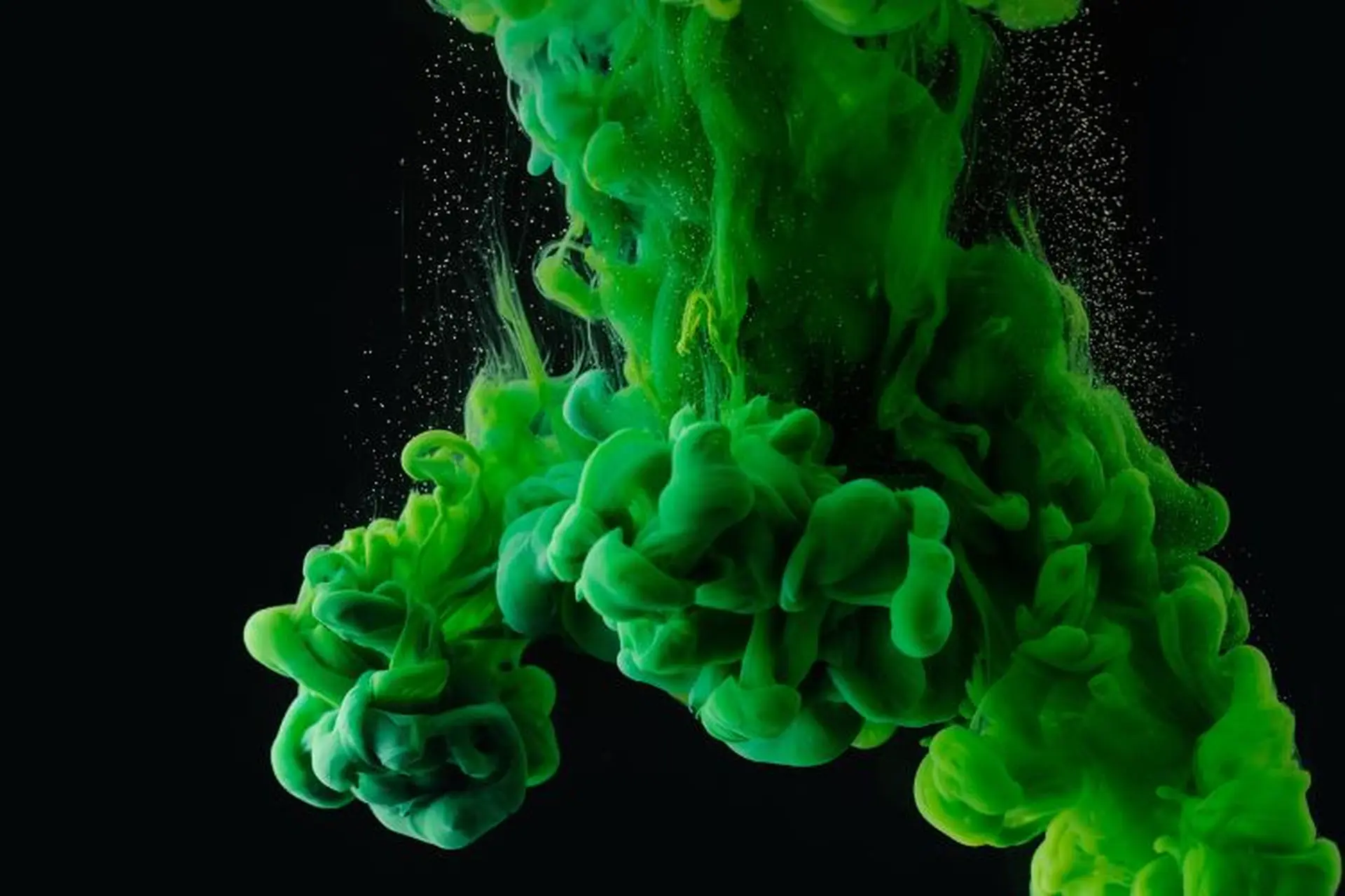 Khám phá màu xanh lá: Ý nghĩa sâu sắc trong phong thủy, thiết kế và cuộc sống