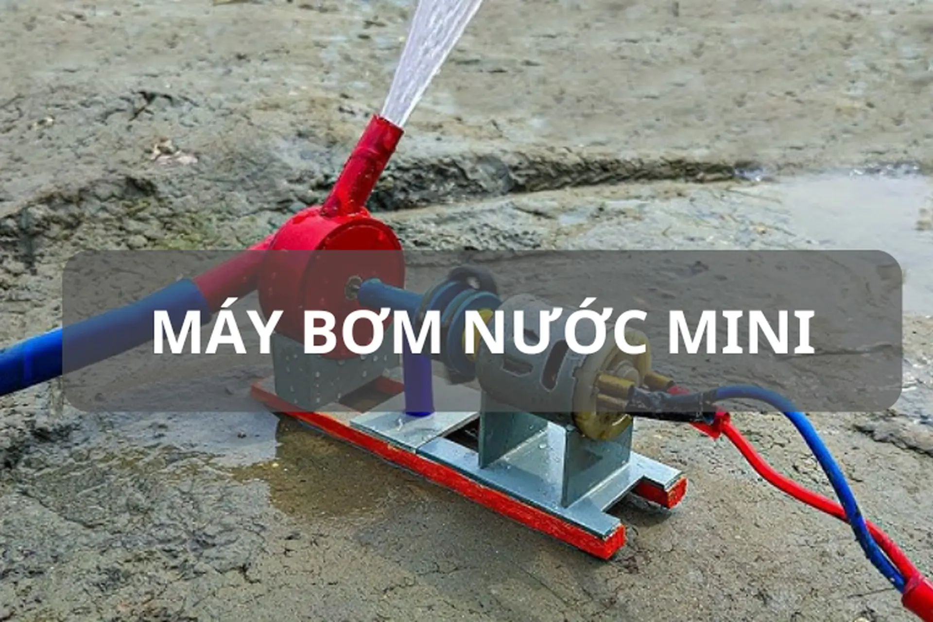 Tìm hiểu các loại máy bơm nước mini phổ biến và ứng dụng thực tế trong đời sống hiện nay