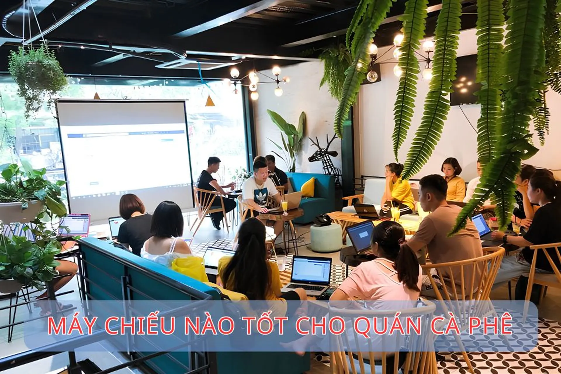 Máy chiếu nào tốt cho quán cà phê? Top 5 lựa chọn giá tốt, đáng mua