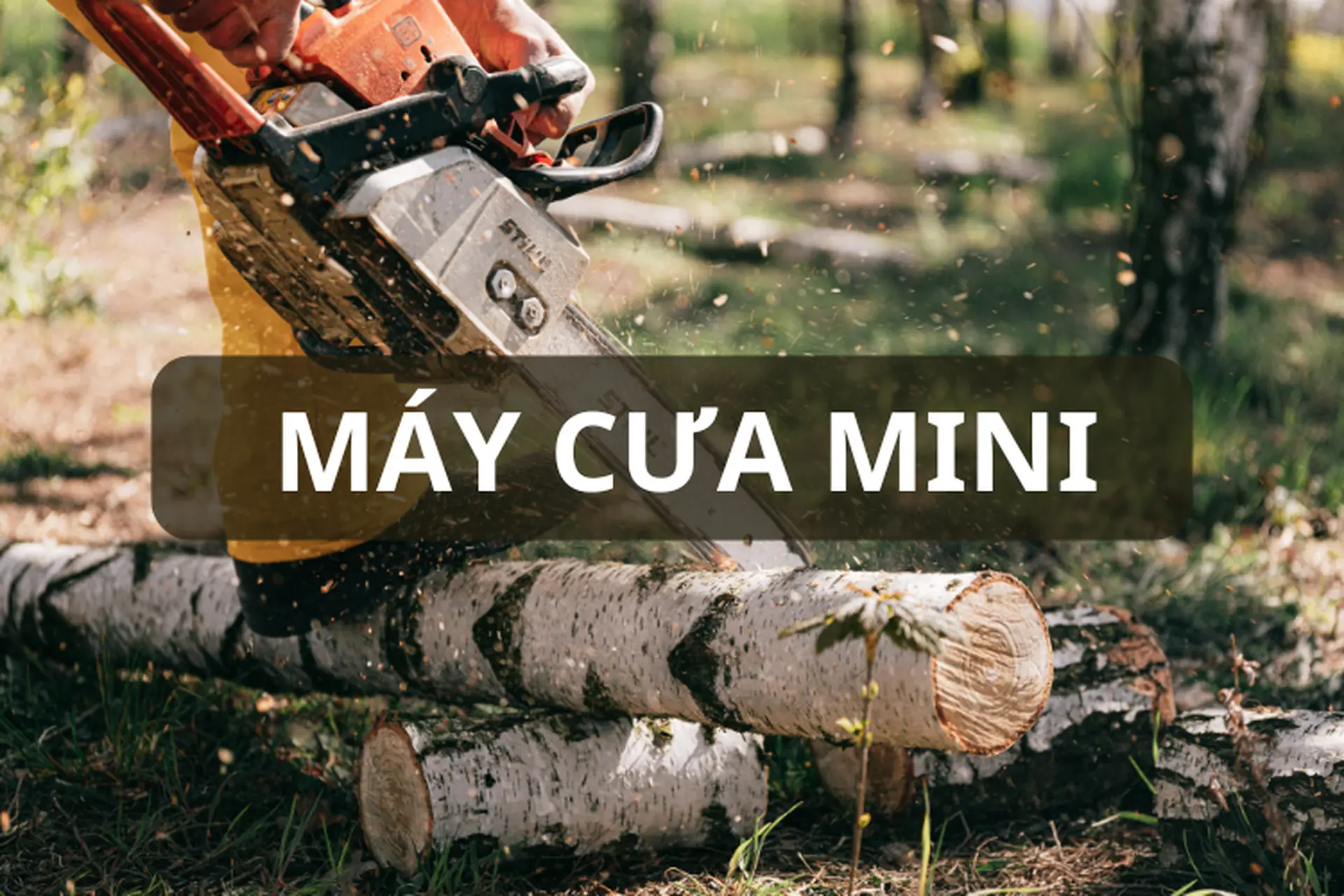 Máy cưa mini là gì? Tìm hiểu về các loại máy cưa mini phổ biến và cách chọn mua đúng chuẩn