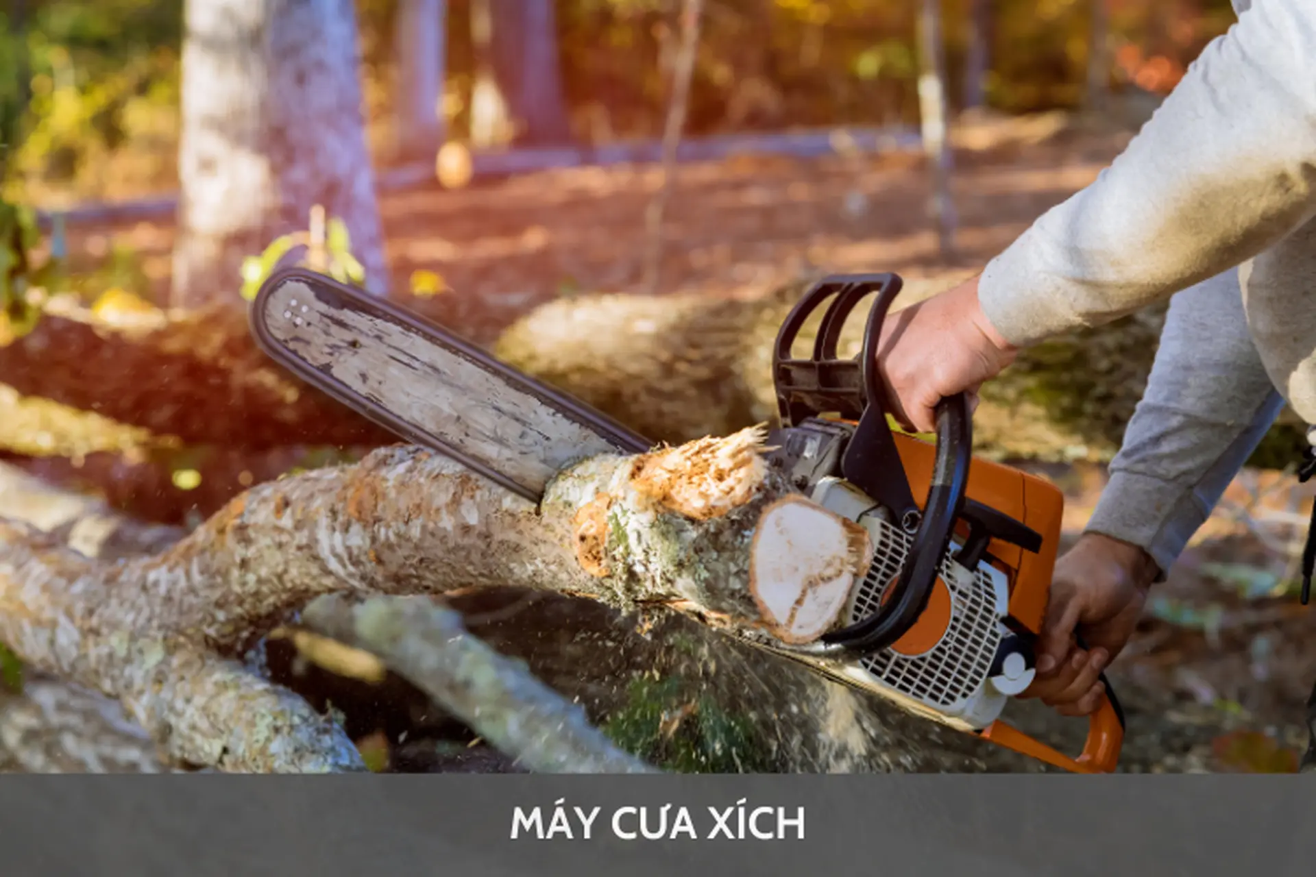 Máy cưa xích là máy gì? Tìm hiểu về nguyên lý hoạt động, cấu tạo và công dụng của máy cưa xích