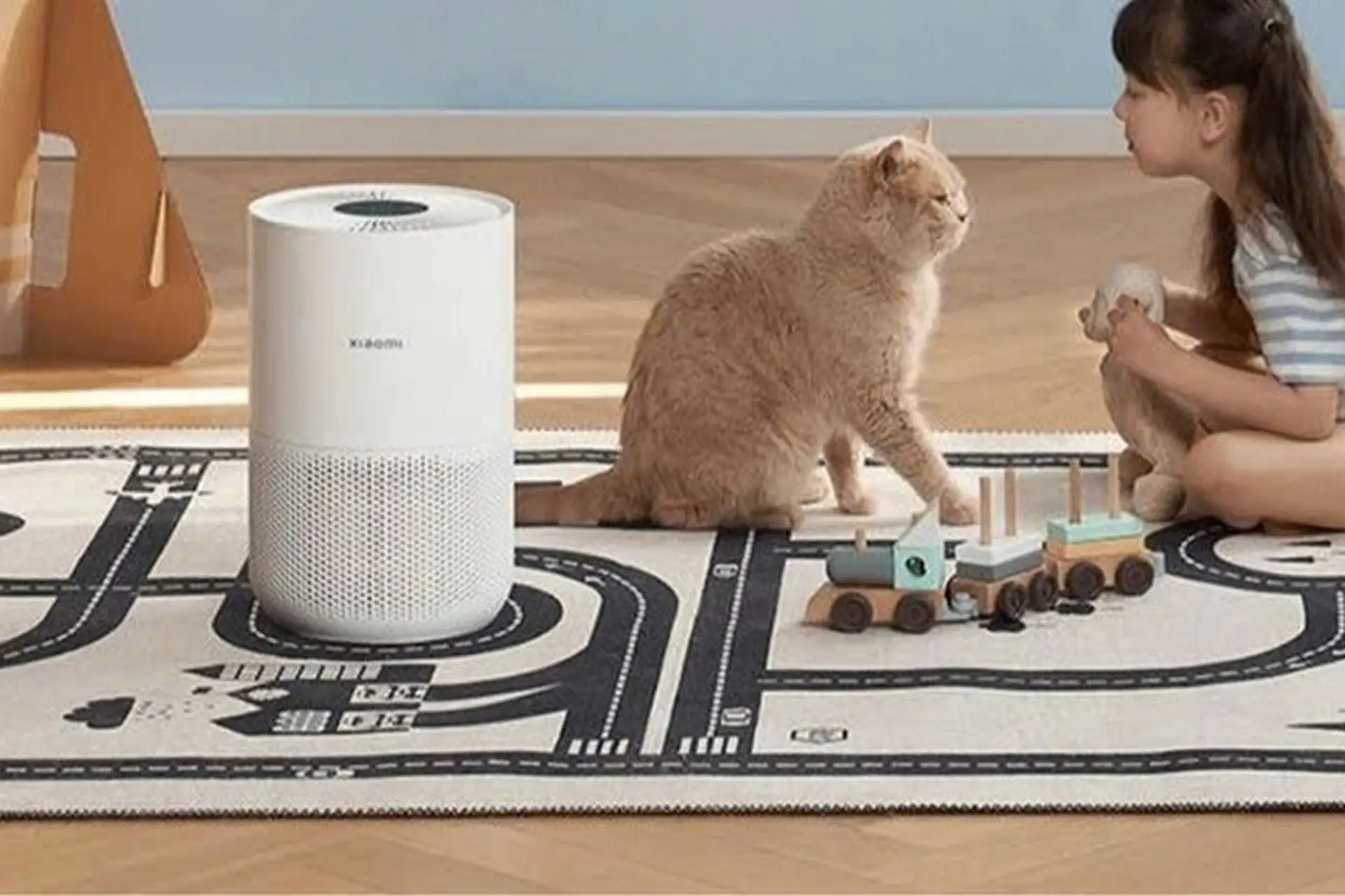 Máy hút lông mèo là gì? Kinh nghiệm chọn mua và gợi ý sản phẩm đáng cân nhắc