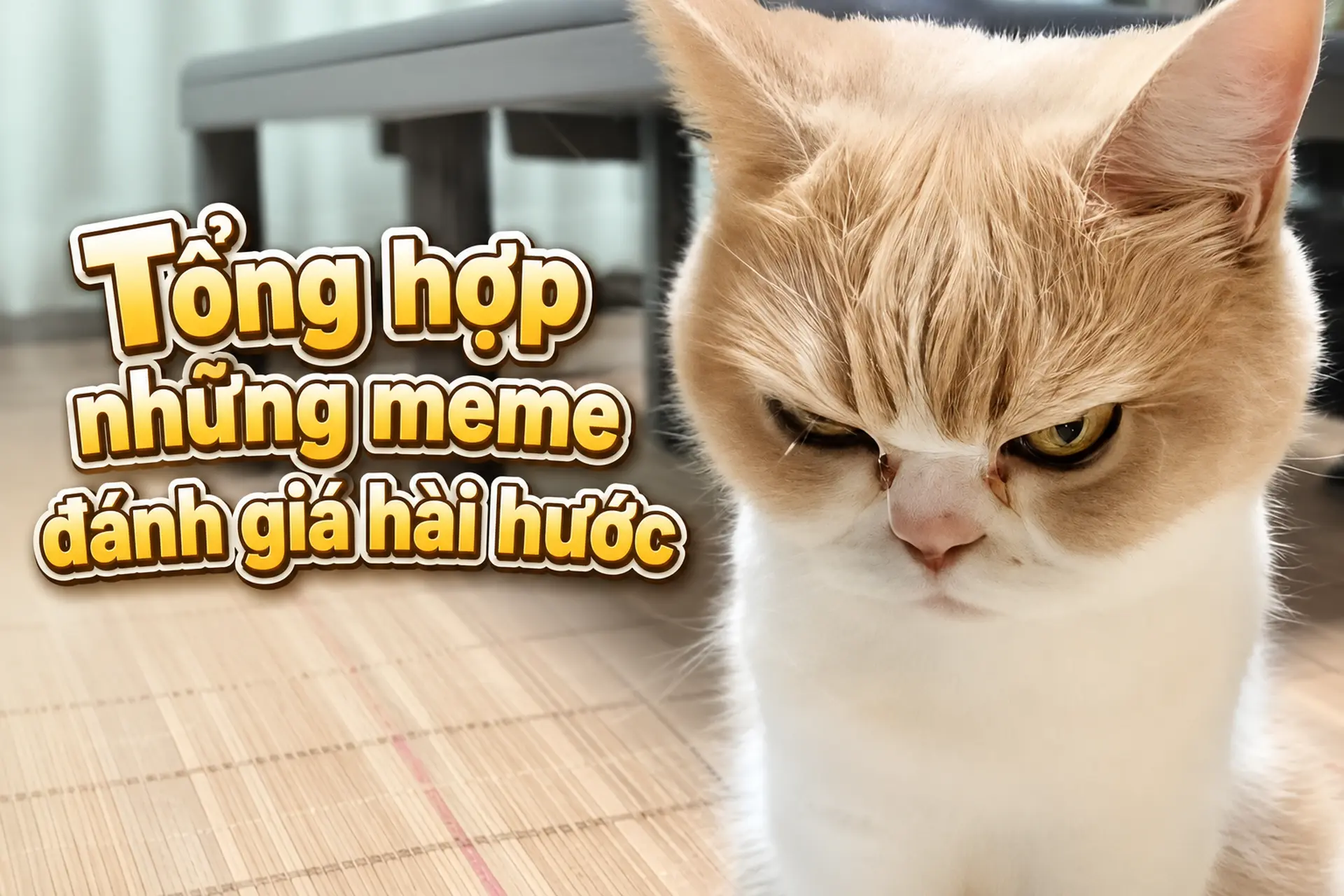 Meme đánh giá là gì? Tổng hợp những meme đánh giá hài hước được chia sẻ nhiều trên mạng xã hội