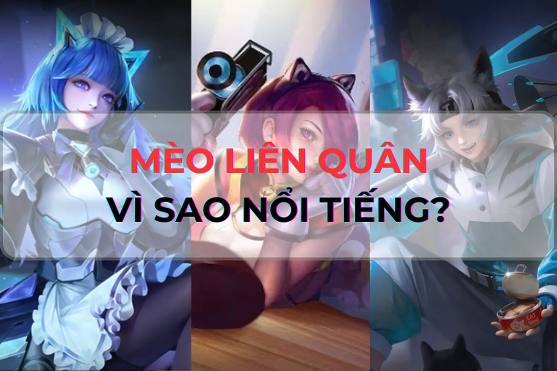 Mèo Liên Quân: Những điều thú vị mà bạn vẫn chưa biết về ngôi sao mới trong thế giới game Liên Quân Mobile