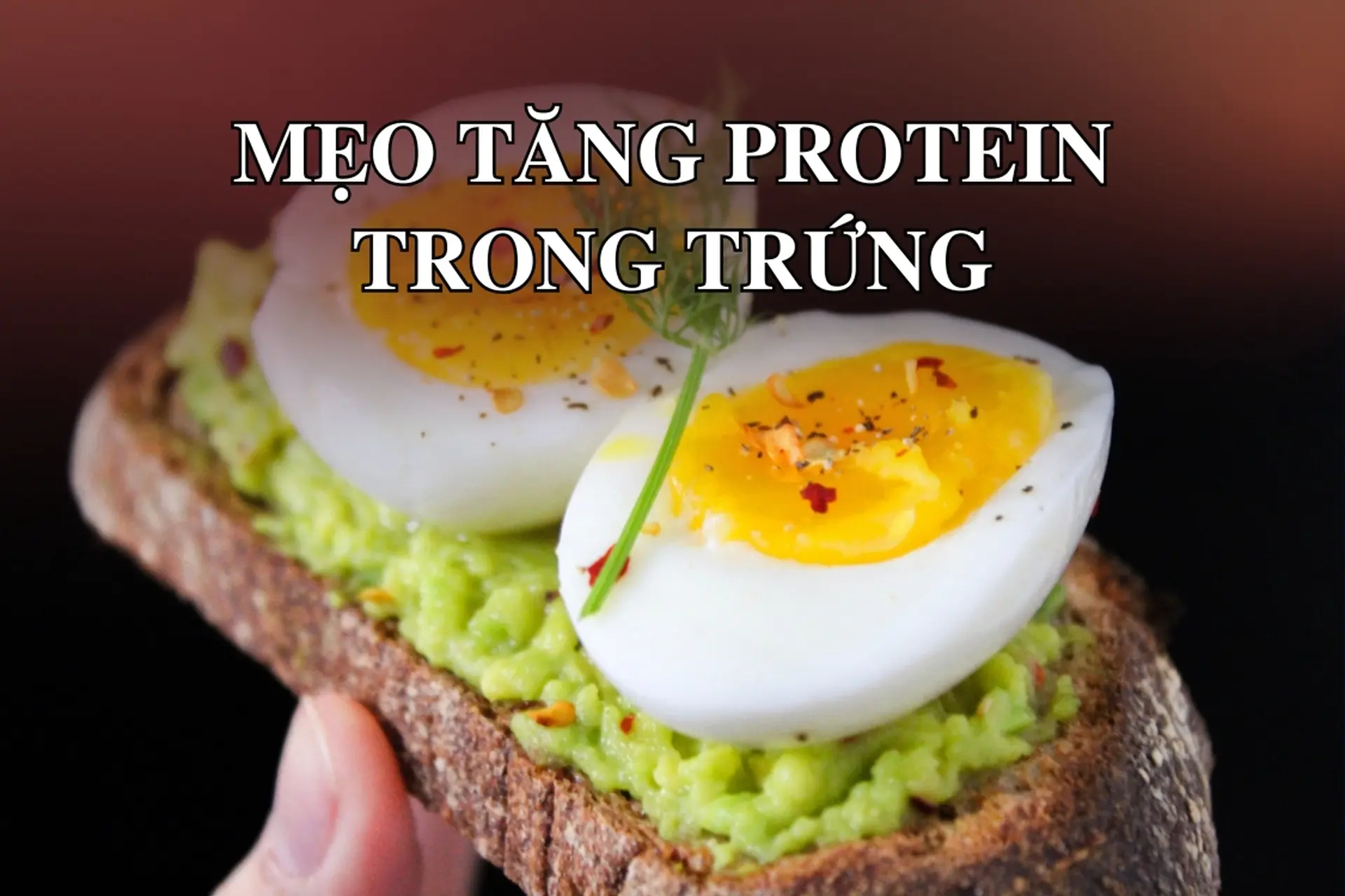 Bỏ túi những mẹo tăng protein trong trứng: Cách đơn giản giúp tối ưu dinh dưỡng