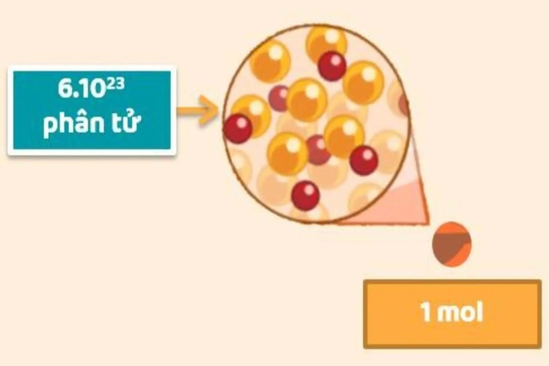 Mol là gì? Toàn bộ kiến thức nền tảng về mol trong Hóa học lớp 8 dễ hiểu nhất
