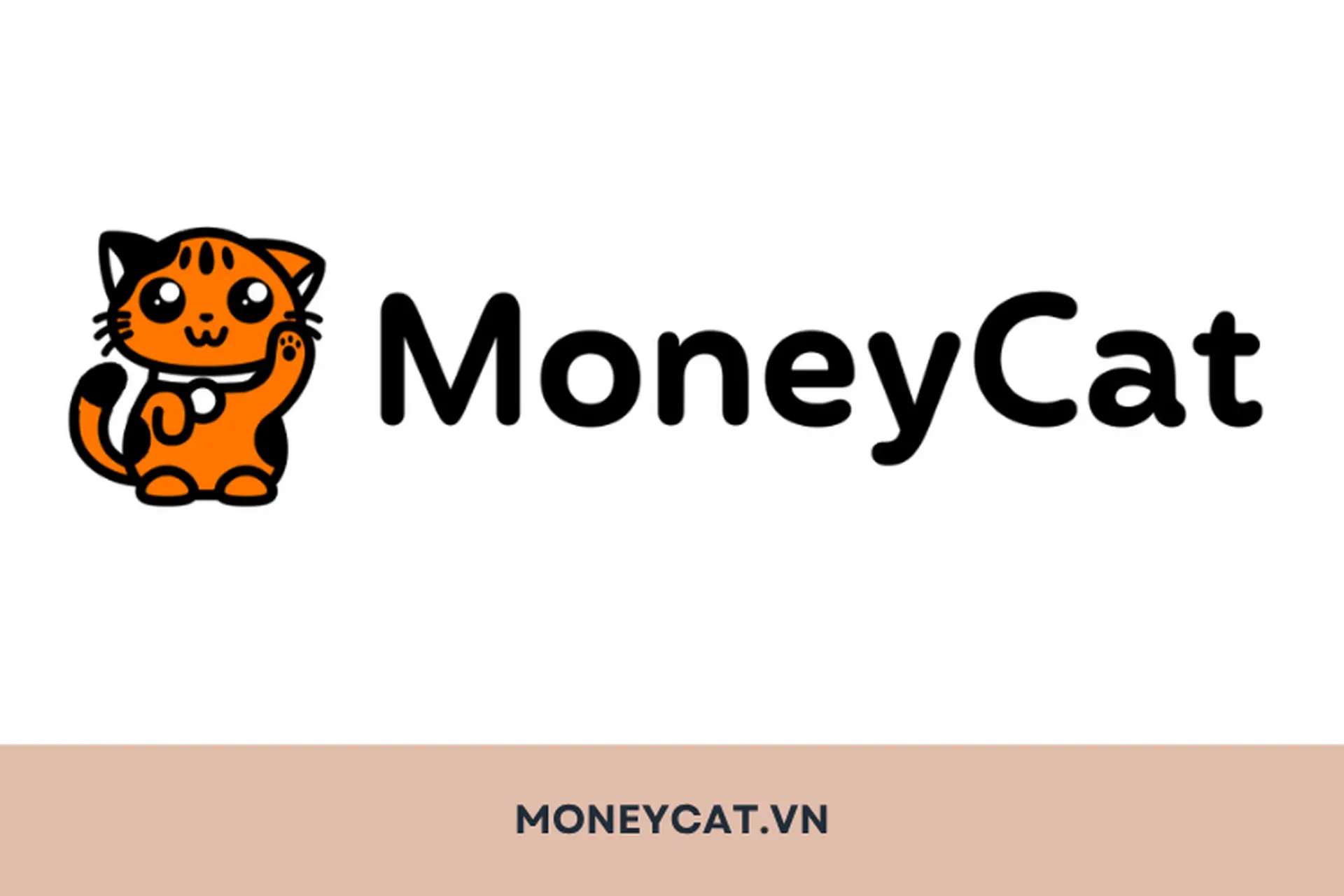 Tìm hiểu Moneycat.vn là gì? Vay tiền trên MoneyCat liệu có uy tín và an toàn hay không?